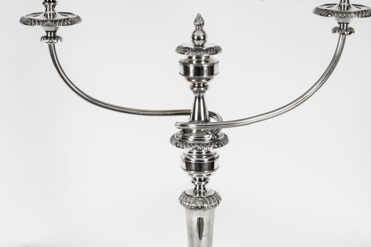 Early 19th Century Antique Pair Regency Old Sheffield Silver Plate Candelabra C1820, 19th C