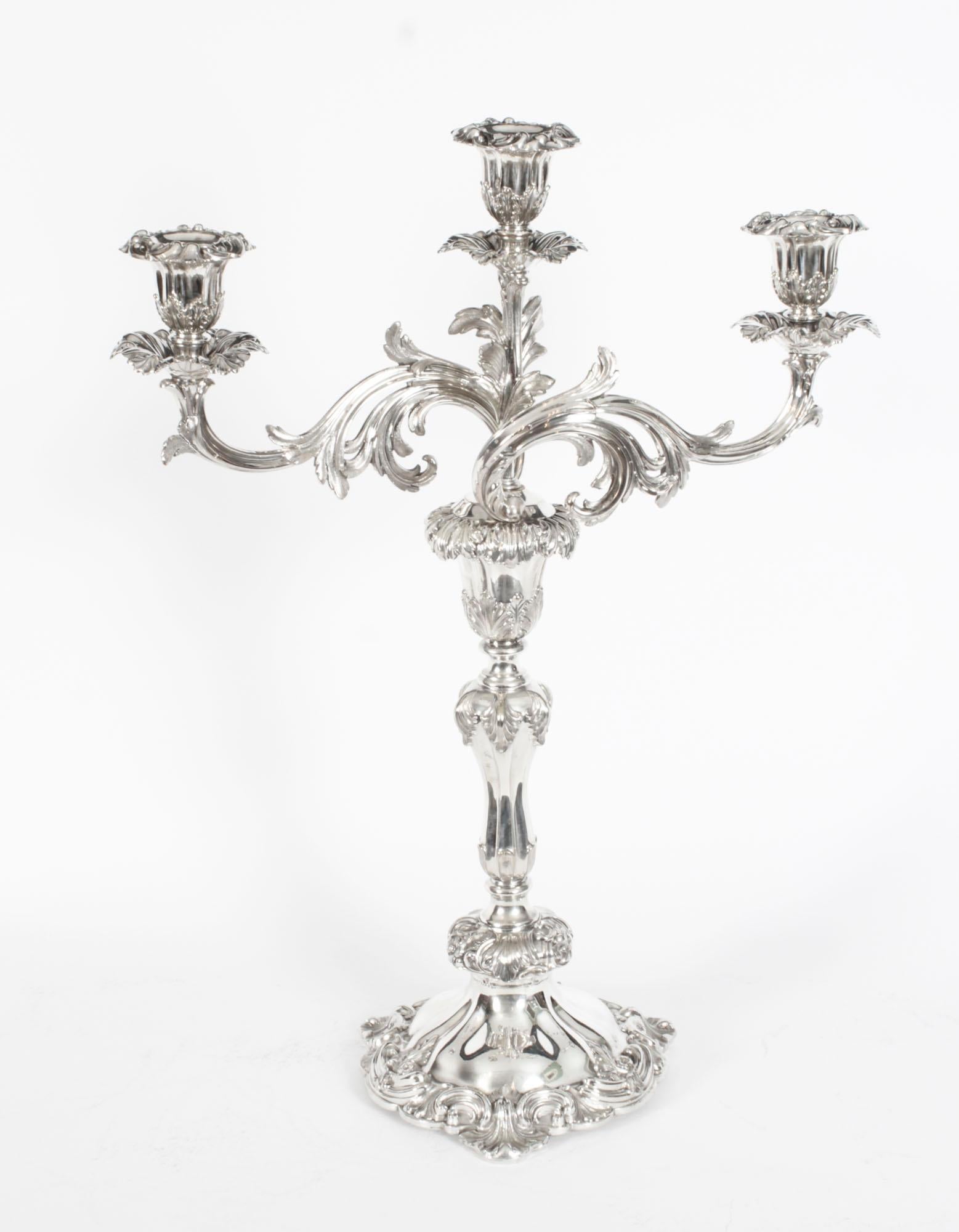 This is a stunning pair of antique English Regency Period Old Sheffield Plate, silver on copper, three light, two-branch table candelabra, circa 1820 in date, and bearing the The 