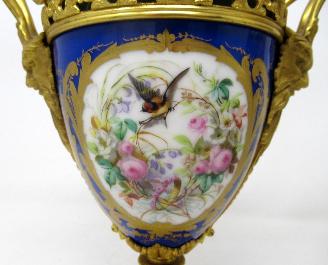 Antique Pair of Sèvres Porcelain Still Life Ormolu Cobalt Blue Urns Vases 3