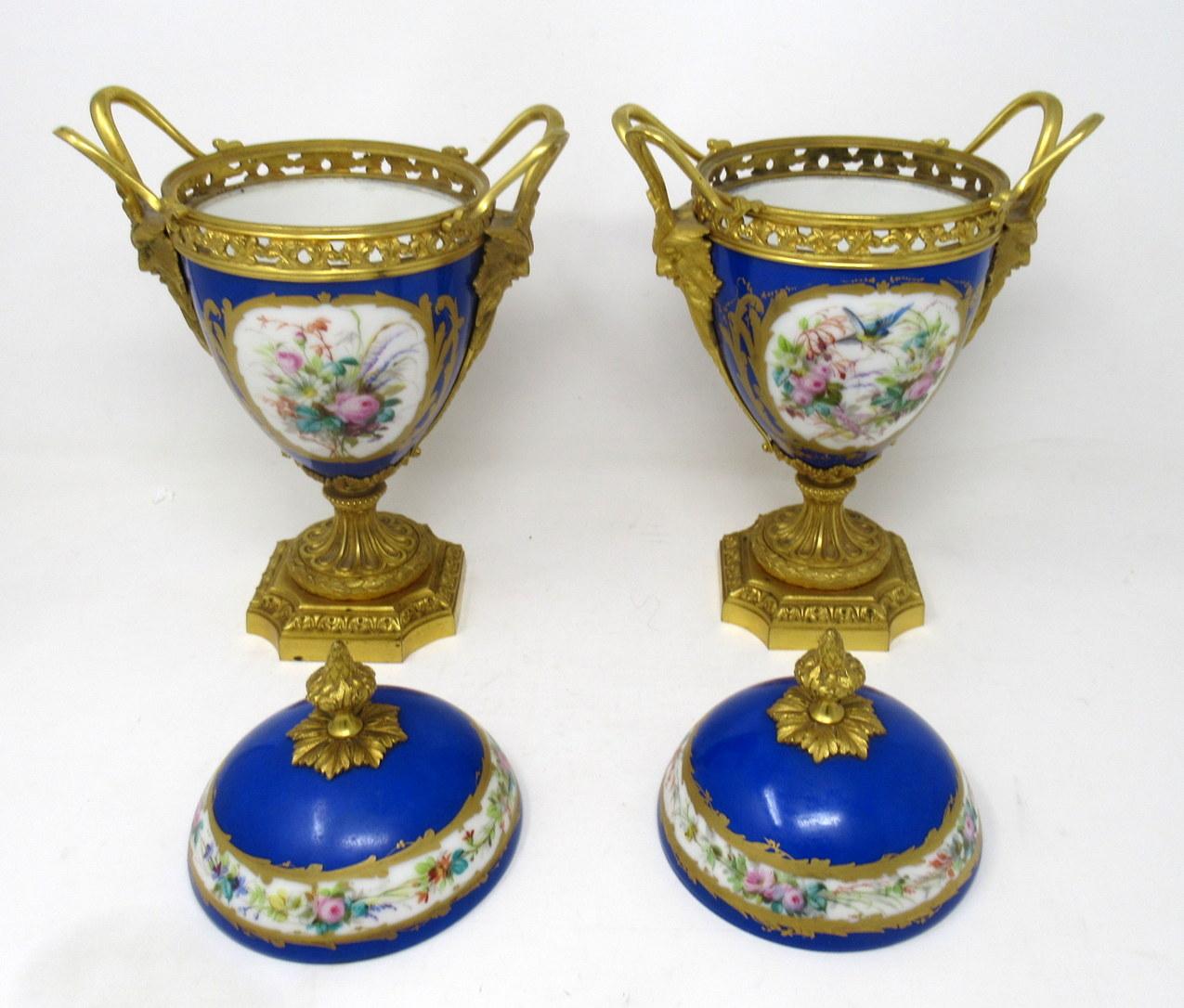 19th Century Antique Pair of Sèvres Porcelain Still Life Ormolu Cobalt Blue Urns Vases