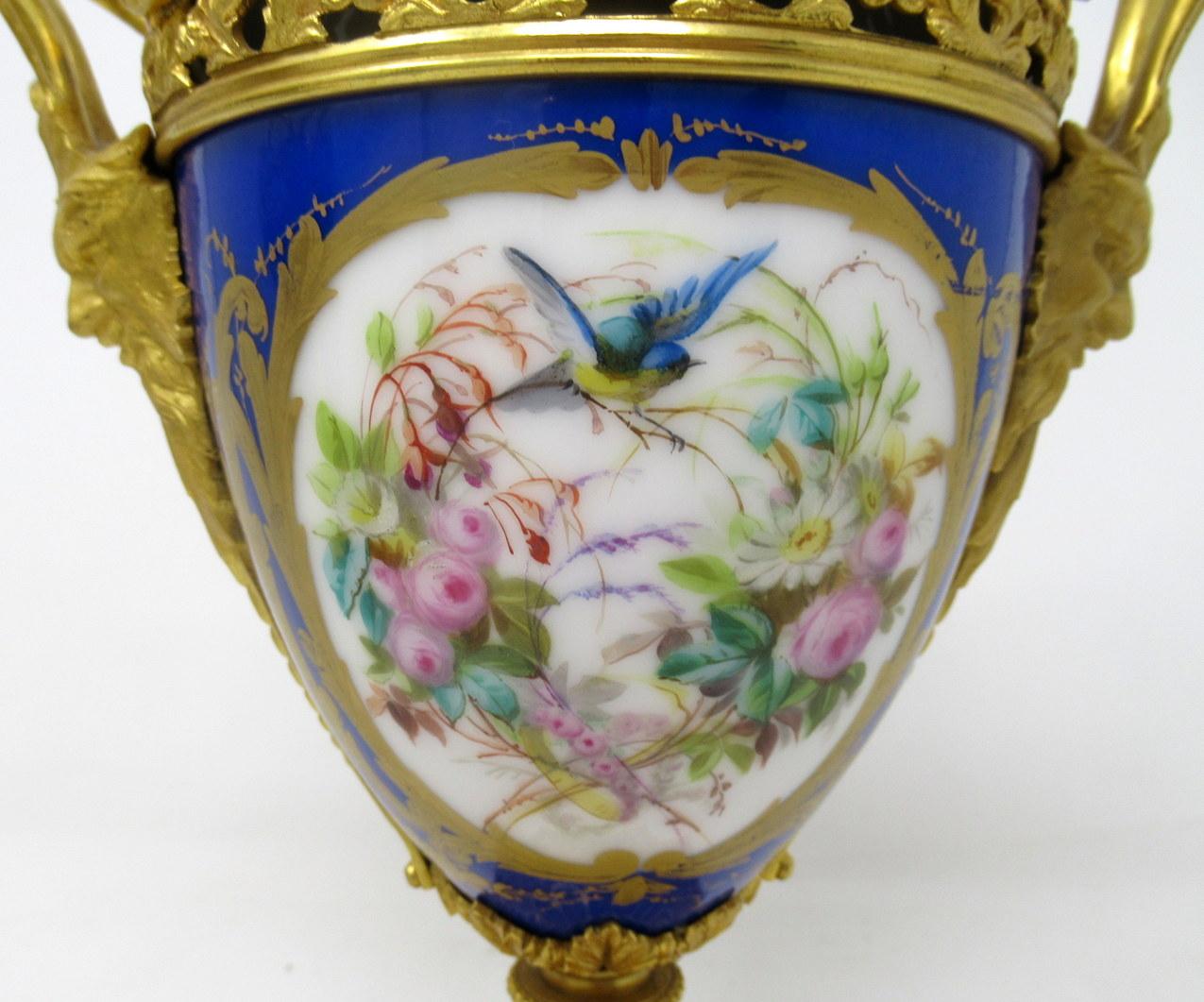 Antique Pair of Sèvres Porcelain Still Life Ormolu Cobalt Blue Urns Vases 2