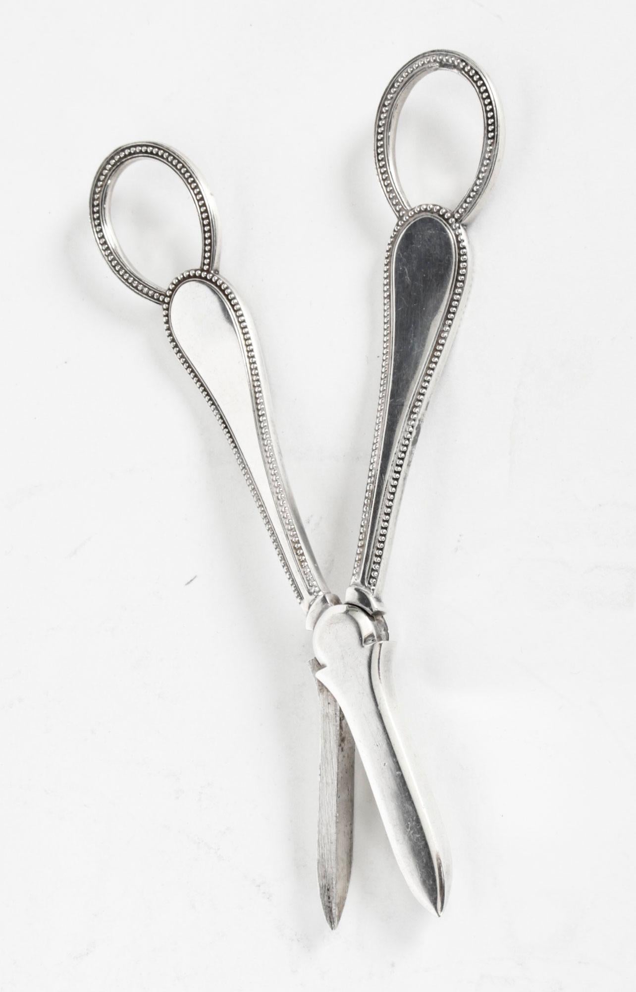 This is a very lovely pair of antique Victorian silver plated grape scissors, bearing the makers mark of Martin Hall & Co., and circa 1910 in date.

They feature beaded decoration to the arms and handles.
 
Add an elegant touch to your next