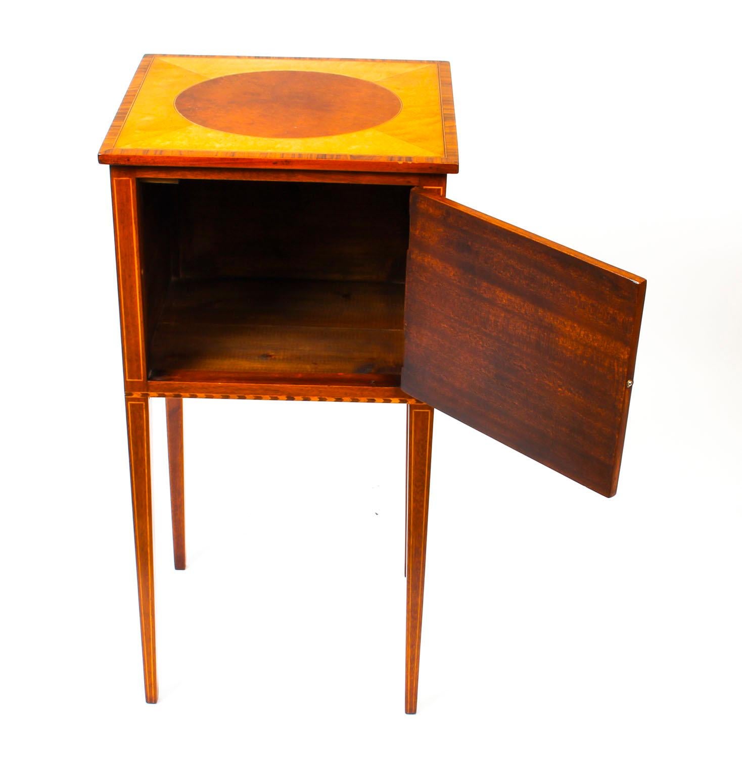 Antique Pair of Victorian Mahogany and Sycamore Bedside Cabinets, 19th Century 6