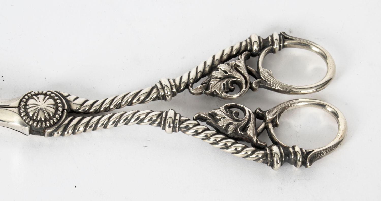English Antique Pair Victorian Silver Plated Grape Scissors, 19th C