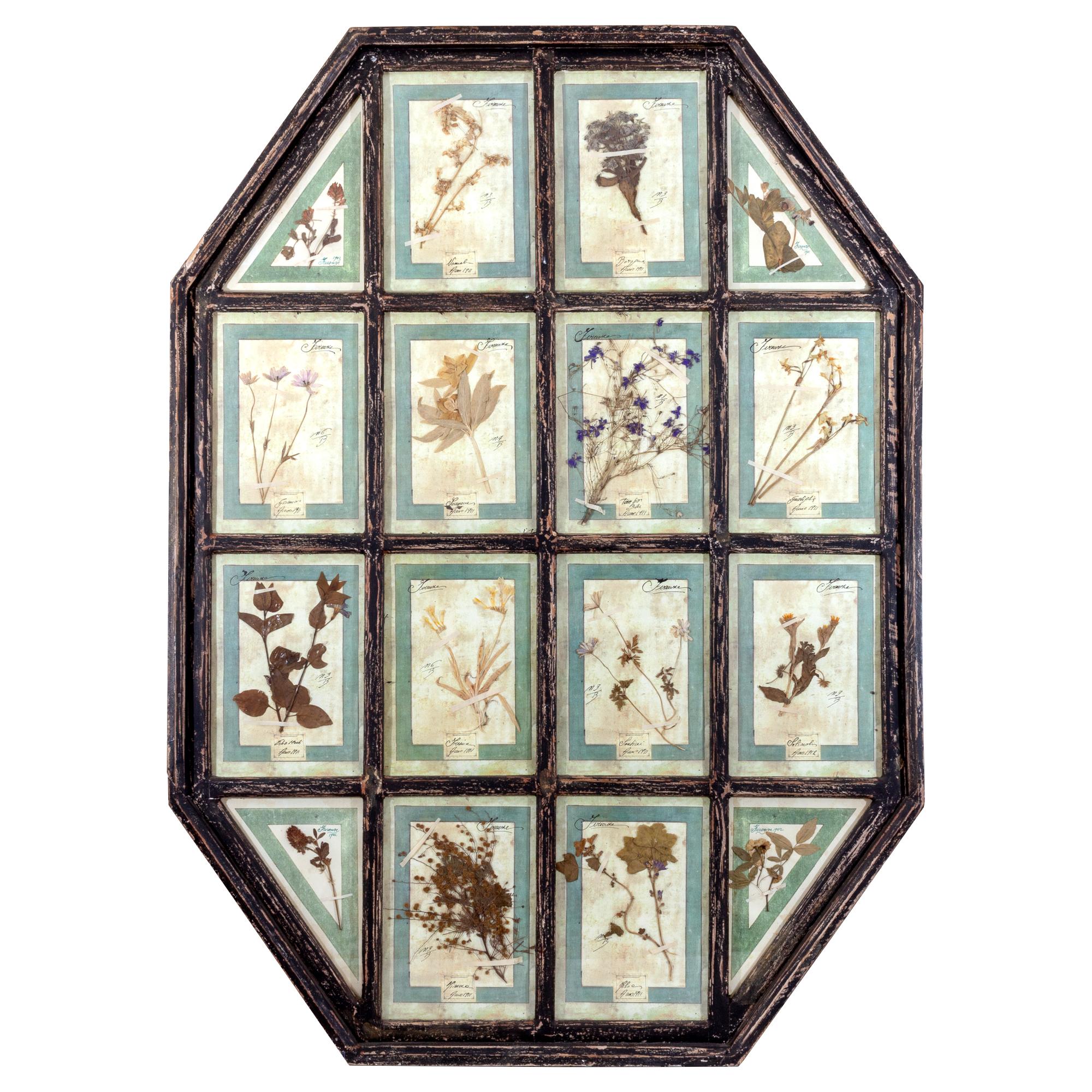 This stunning pairing of framed dried botanicals was uncovered on a trip to Italy. The octagonal shape of each piece is particularly unique, and a closer look reveals the love and care that went into the preparation and display of each specimen. The