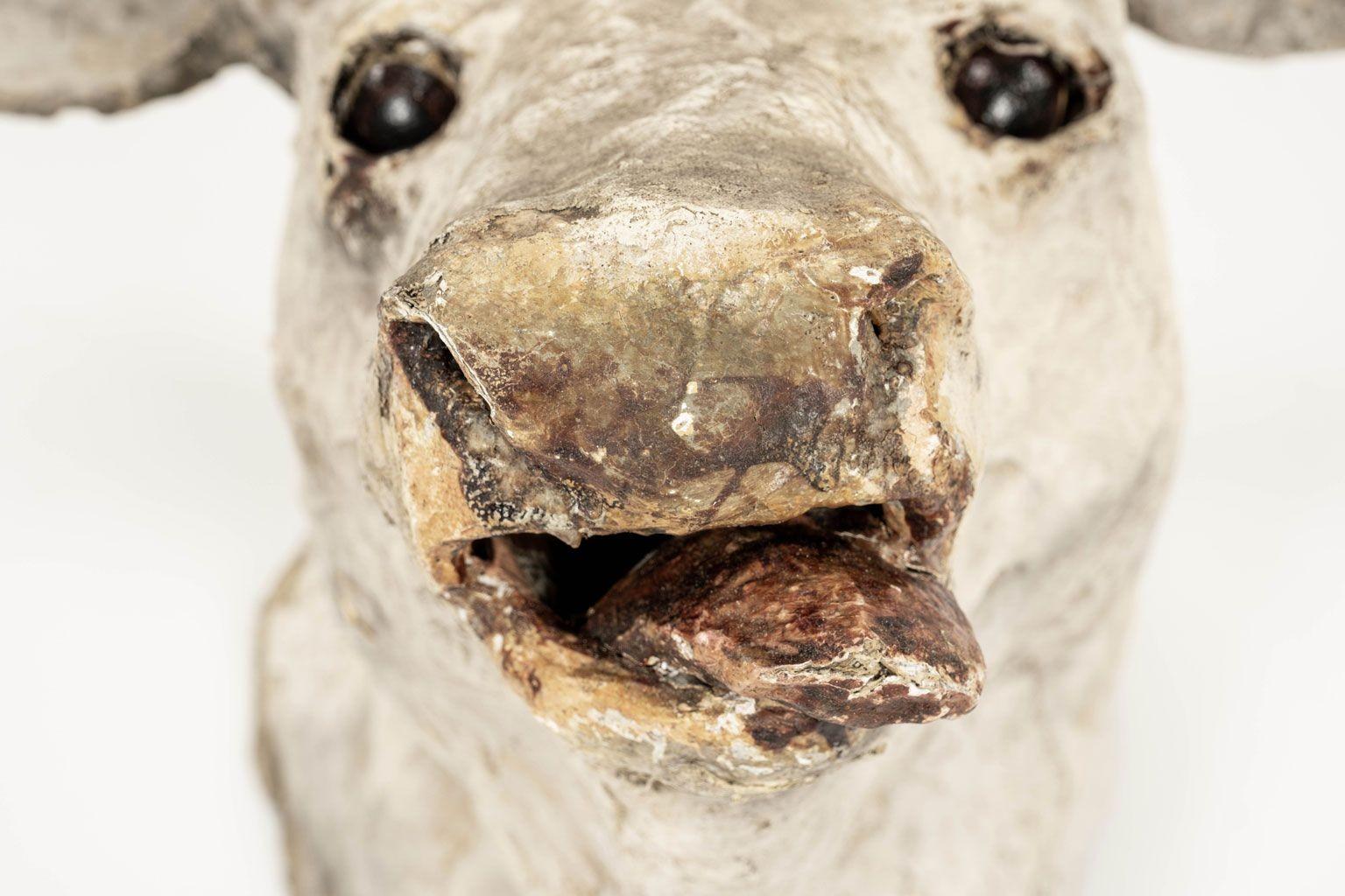 Antique papier mâché cow head dating to early 20th century, France.