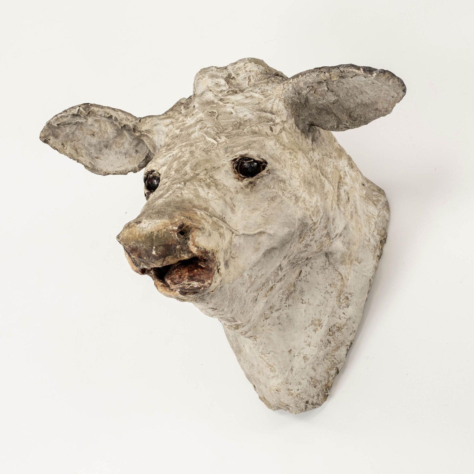 French Antique Papier Mâché Cow Head For Sale