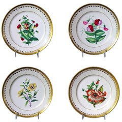 Antique Paris Porcelain Botanical Set of Plates, Flamen-Fleury, circa 1830-1835