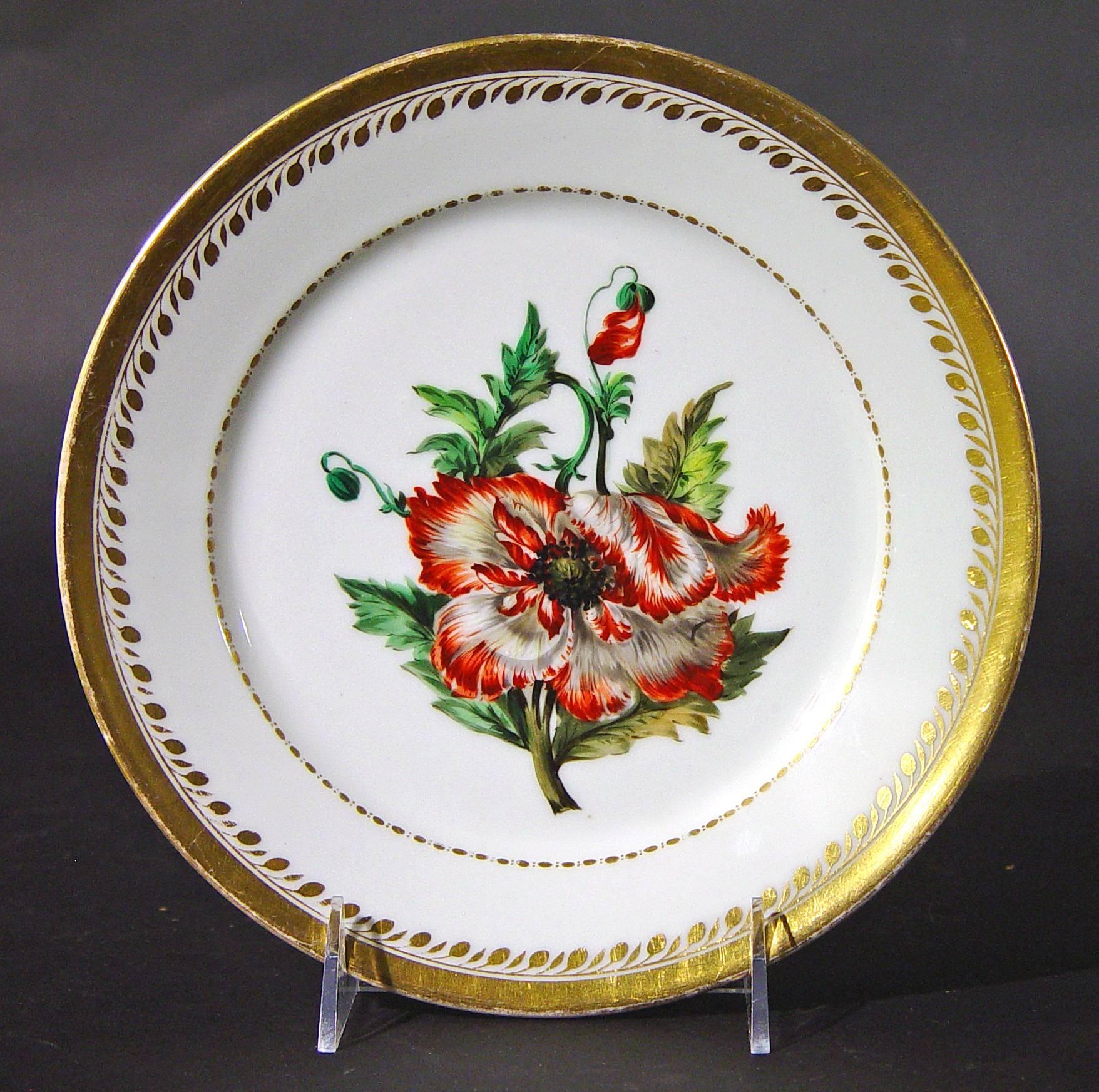 Antiguo Juego de Platos Botánicos de Porcelana de París, Flamen-Fleury Francés en venta