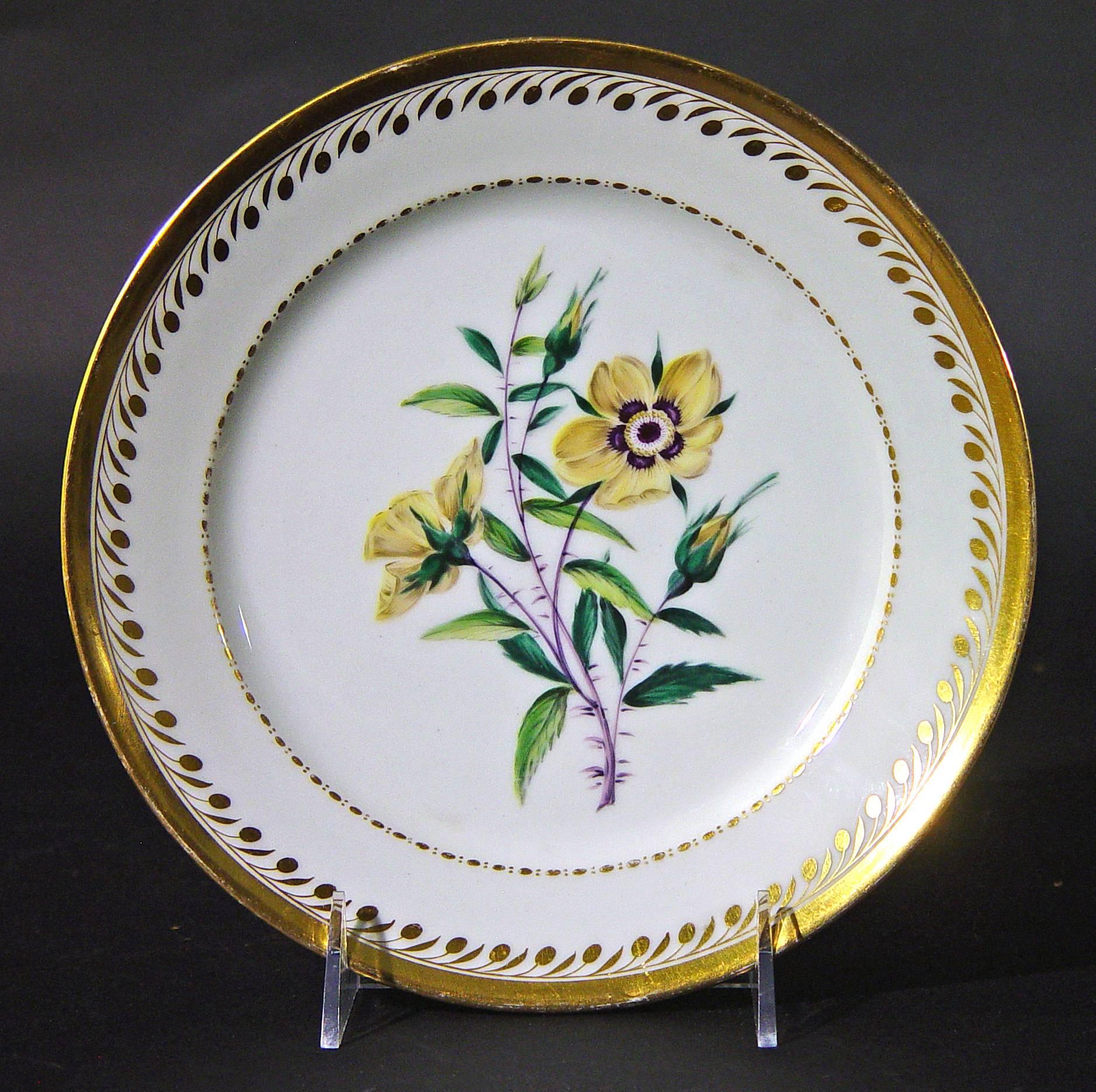 French Antique Paris Porcelain Botanical Set of Plates, Flamen-Fleury For Sale
