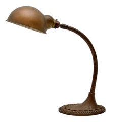 Antique Patinated Brass Art Nouveau Desk Lamp