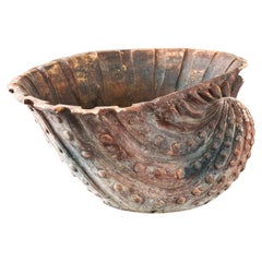 Antigua maceta o jardinera de terracota patinada con forma de concha marina, años 20 Suecia