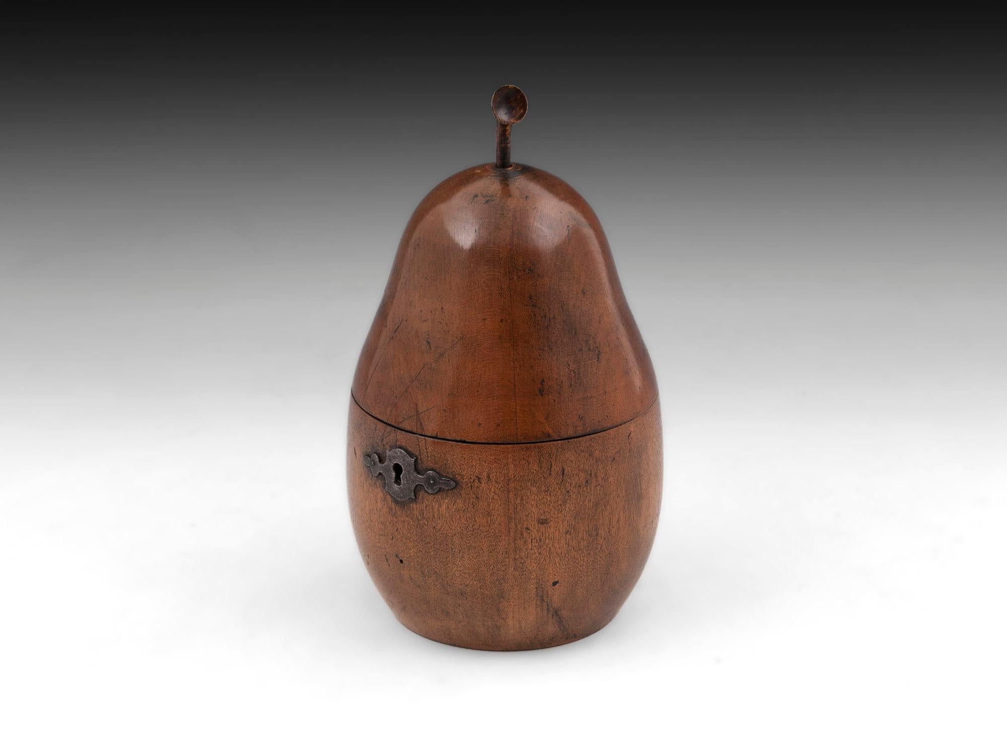 Sycamore Antique Pear Fruit Treen Tea Caddy For Sale