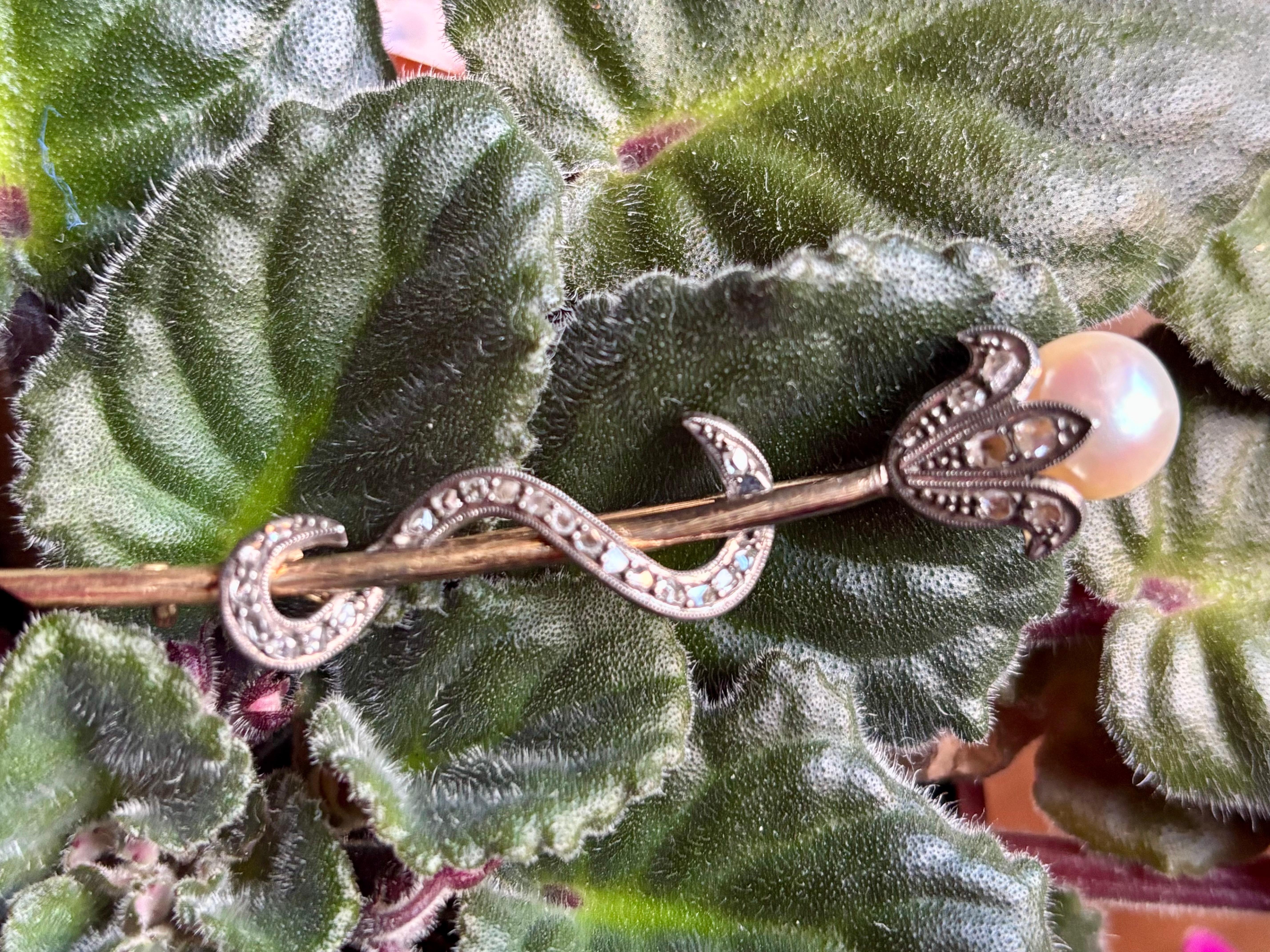 Antique Victorian Pearl and Diamond Flower Head, Snake Brooch. Circa 1890–1910 For Sale 6