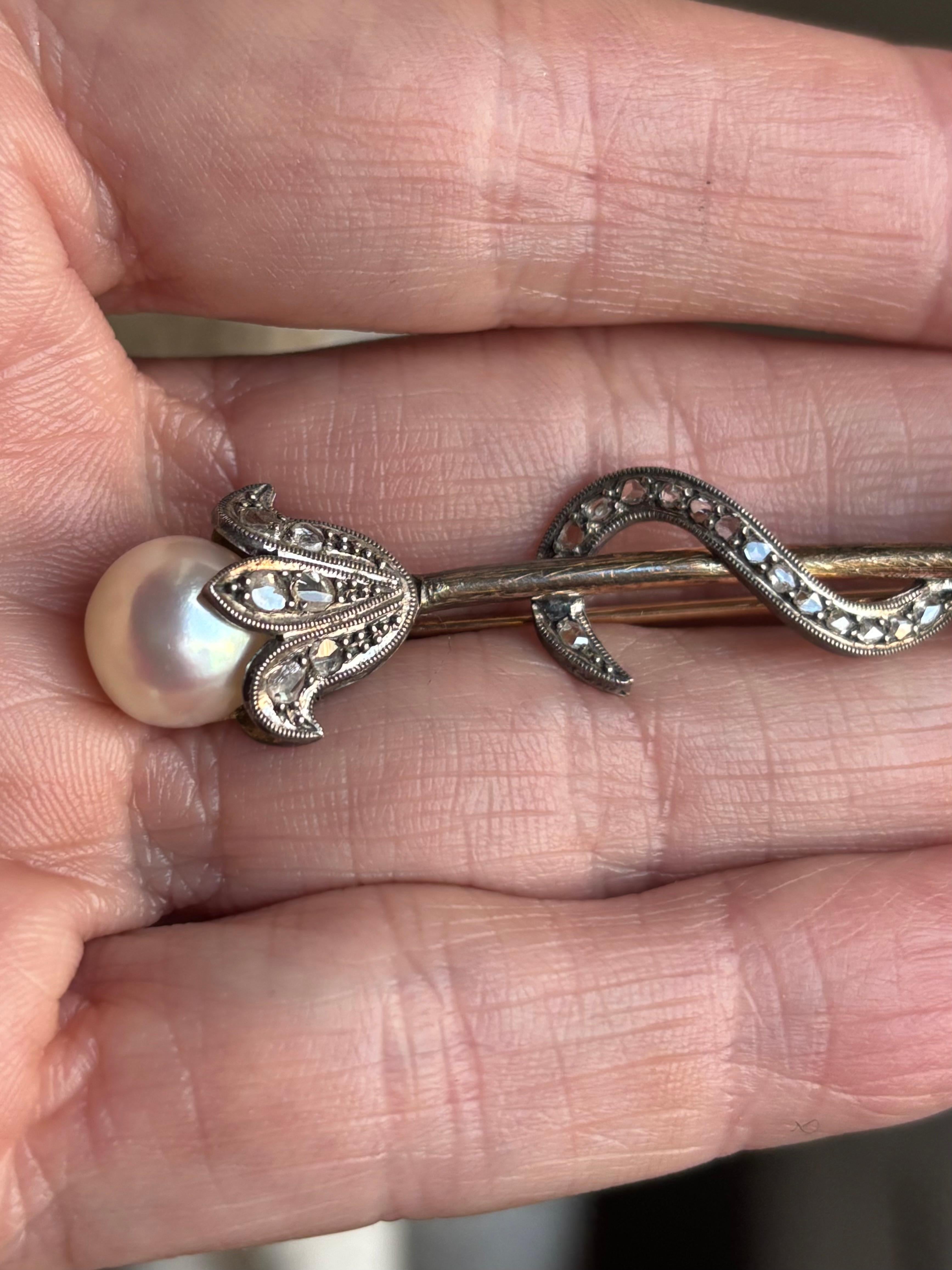 Rose Cut Antique Victorian Pearl and Diamond Flower Head, Snake Brooch. Circa 1890–1910 For Sale