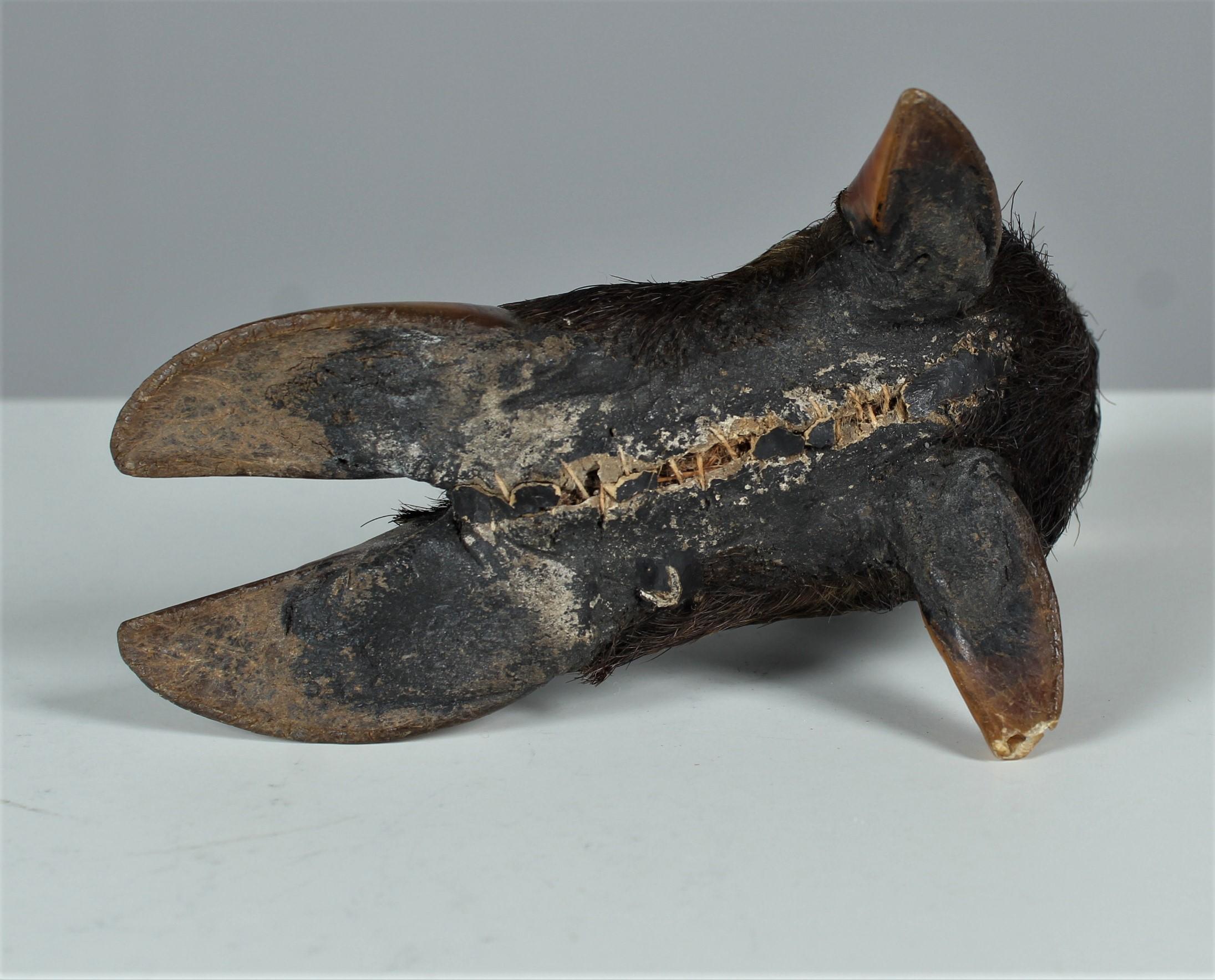 Antique Pen Holder, Wild Boar Foot, Late 19th Century In Good Condition For Sale In Greven, DE