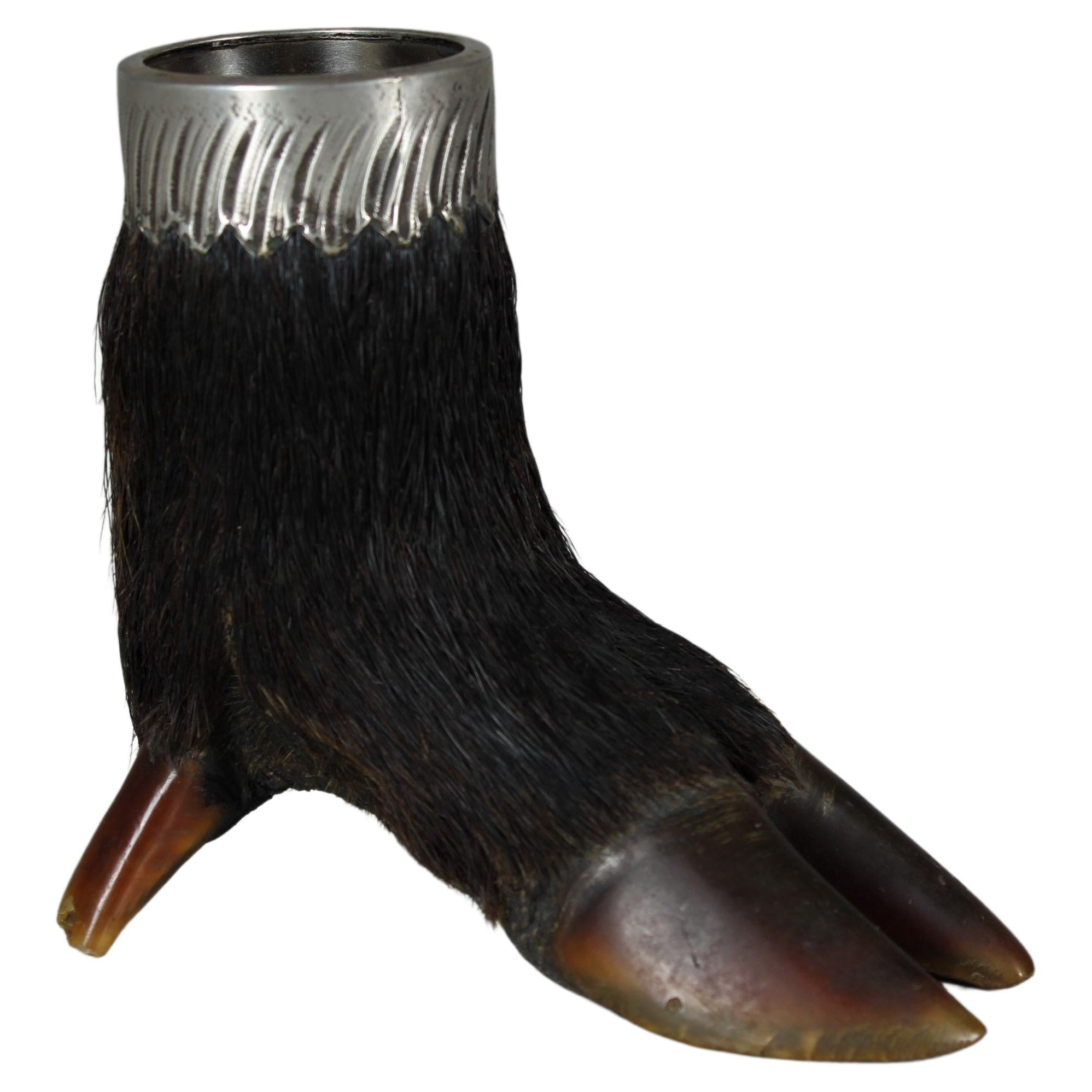 Antique Pen Holder, Wild Boar Foot, Late 19th Century For Sale