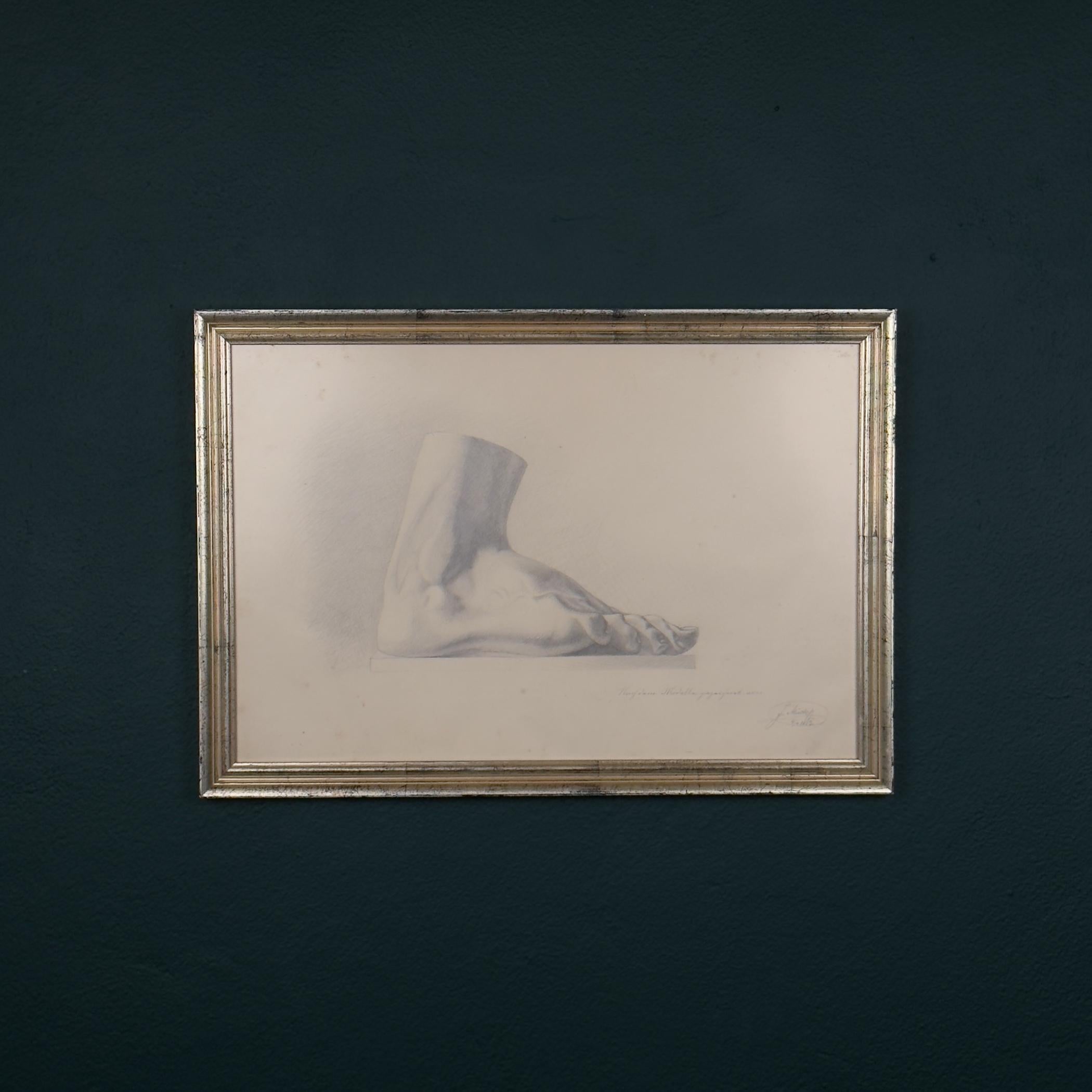 Dessin au crayon ancien Pied, artiste F. Mucke, Autriche 1802 en vente 4
