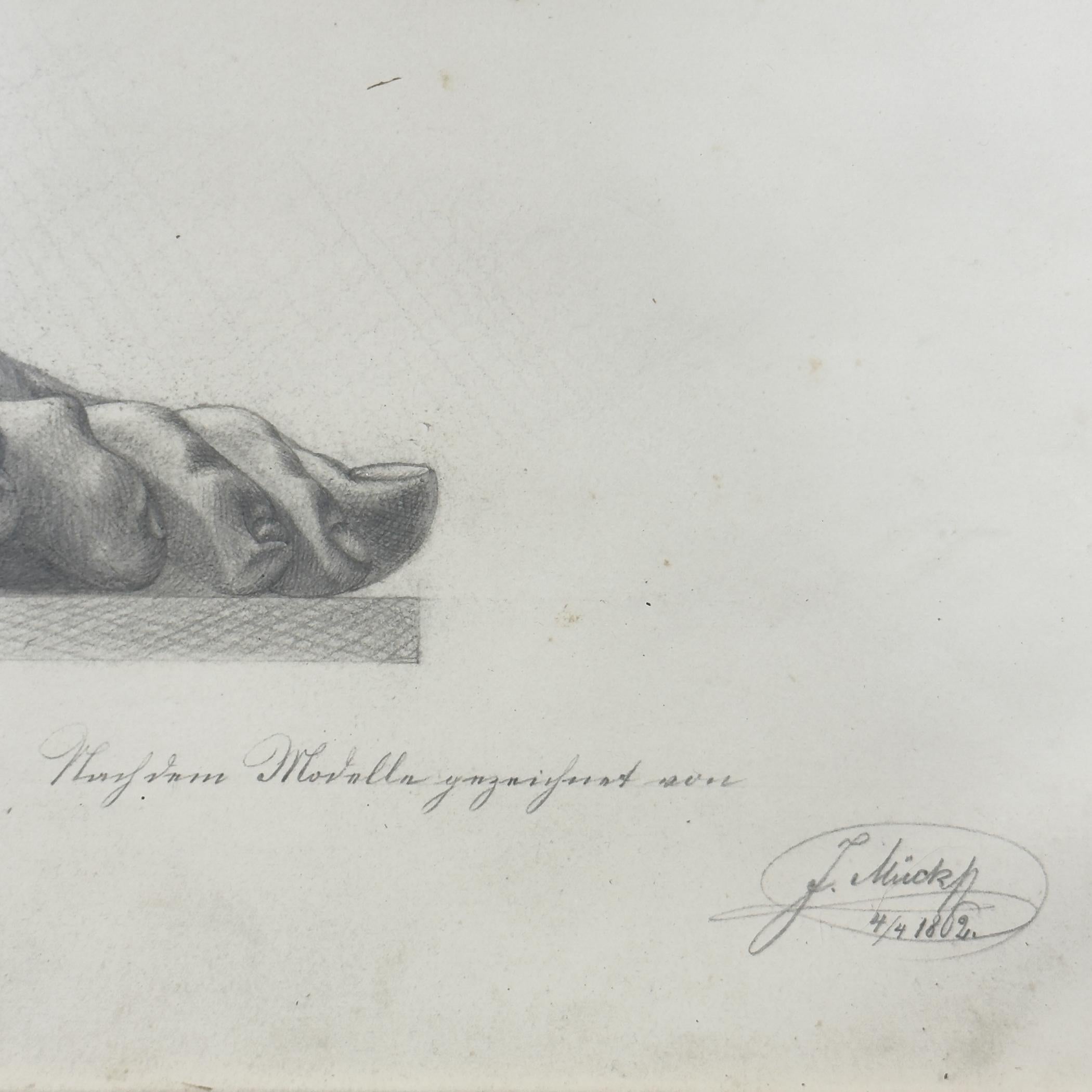 Autrichien Dessin au crayon ancien Pied, artiste F. Mucke, Autriche 1802 en vente