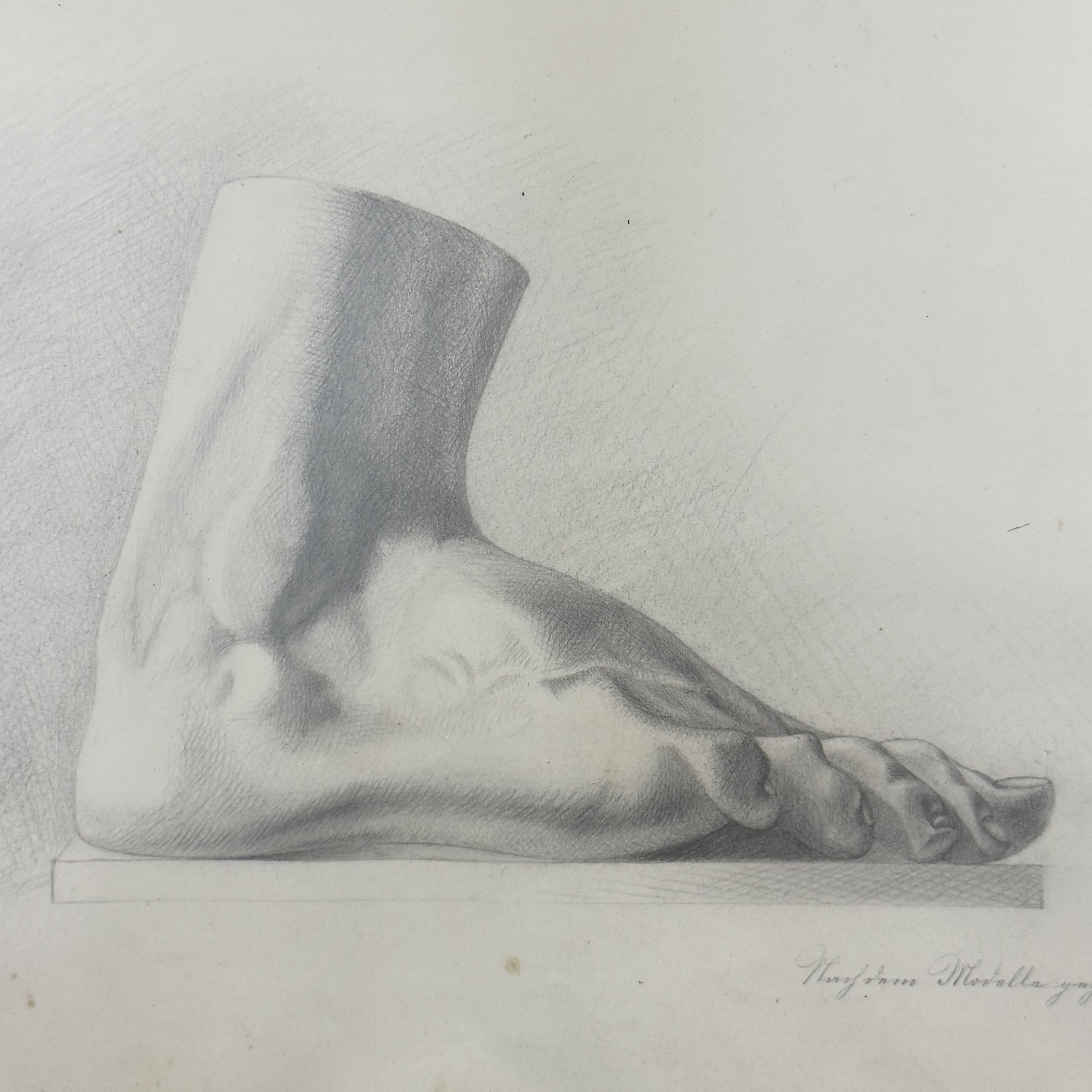 Début du XIXe siècle Dessin au crayon ancien Pied, artiste F. Mucke, Autriche 1802 en vente