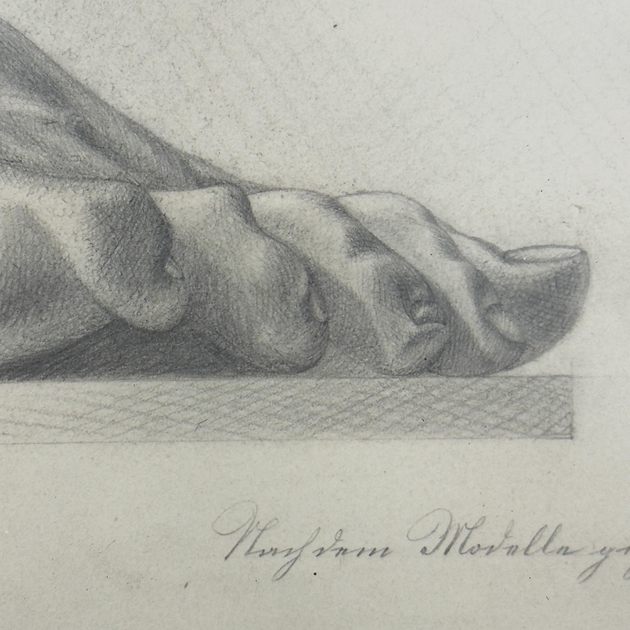 Papier Dessin au crayon ancien Pied, artiste F. Mucke, Autriche 1802 en vente
