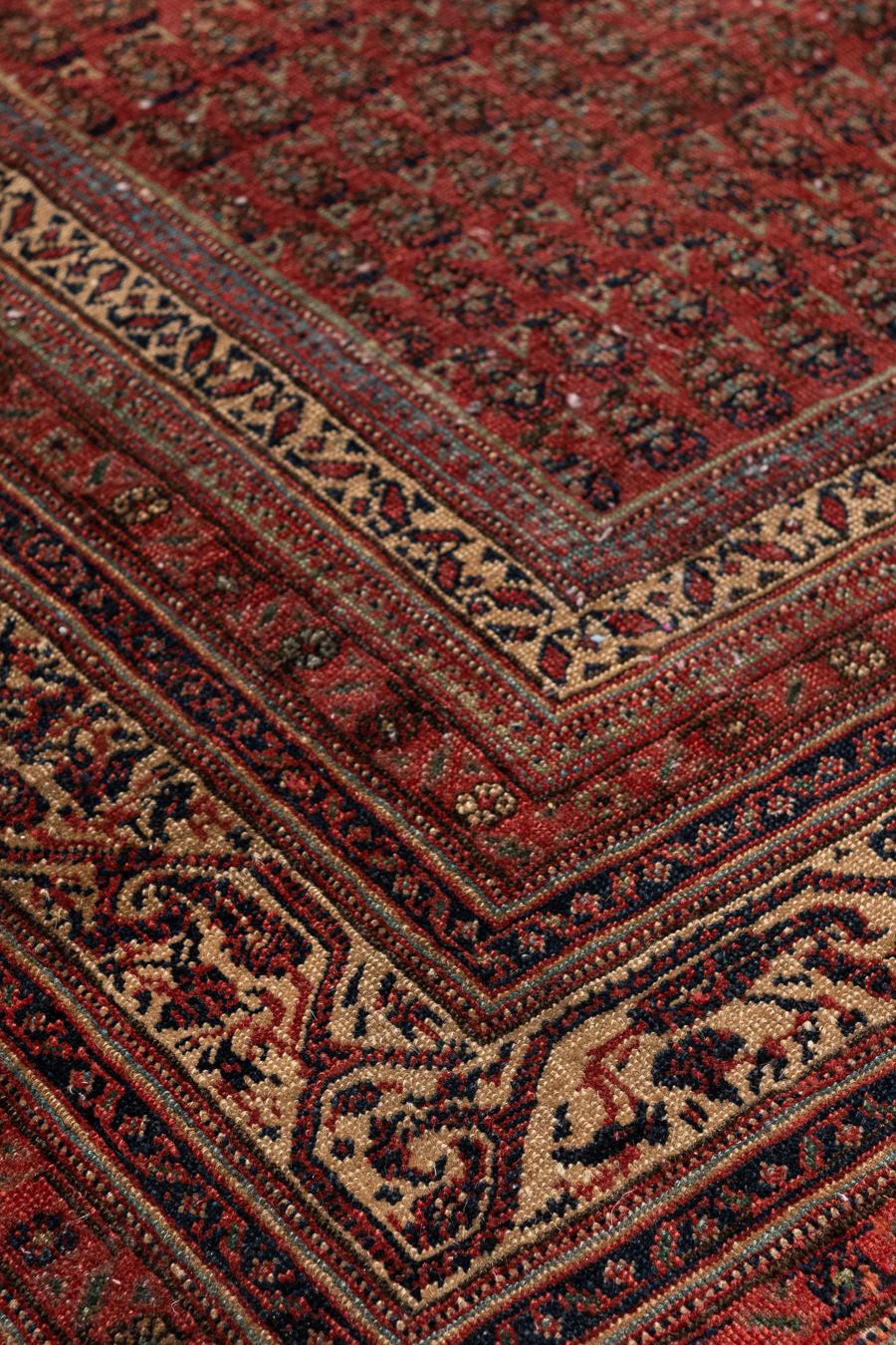 Persian Antique Persia Seraband Rug Runner Galrery  For Sale