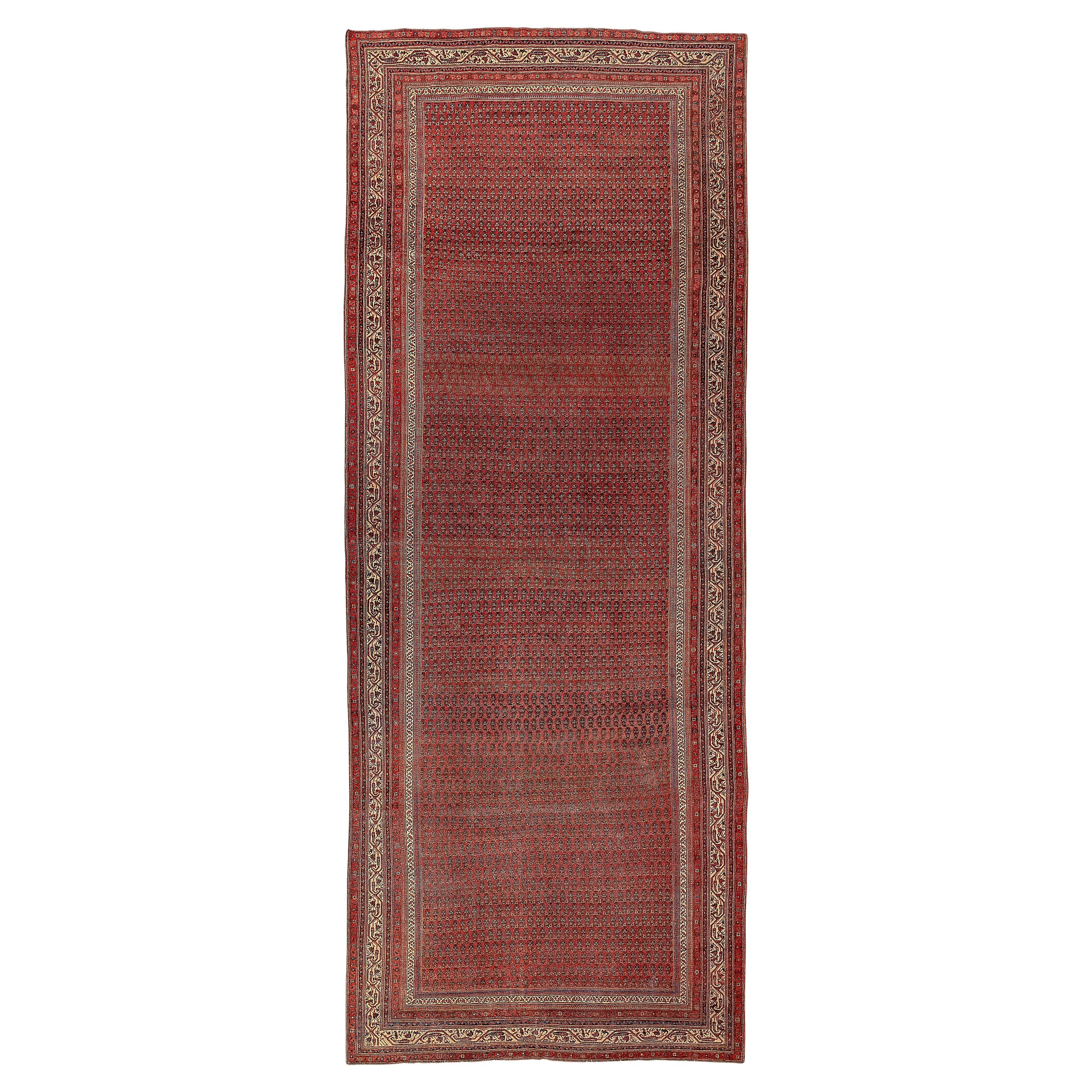 Antique Persia Seraband Rug Runner Galrery  For Sale