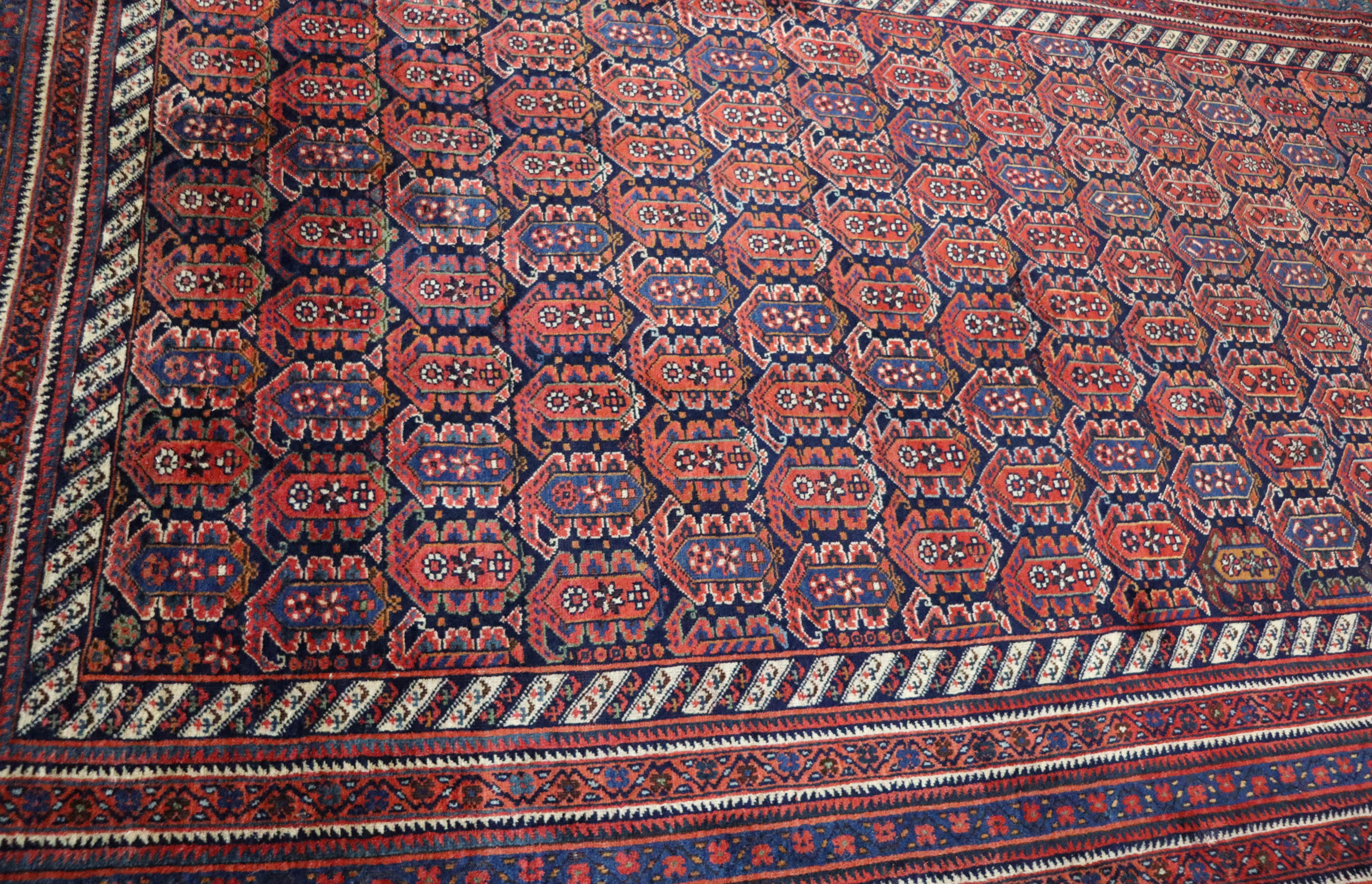 Antique Persian Afshar Carpet, Magnificent, Tribal, 5'8
