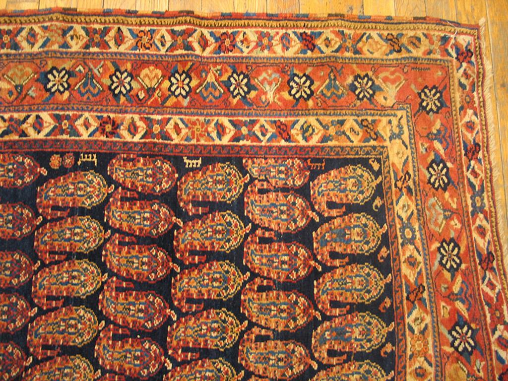 afshar rugs