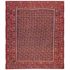 Antiker persischer Afshar-Teppich 4' 3 Zoll x 5' 0 Zoll 