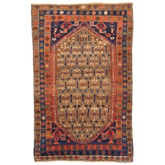 Antique Persian Area Rug Kolyai Design