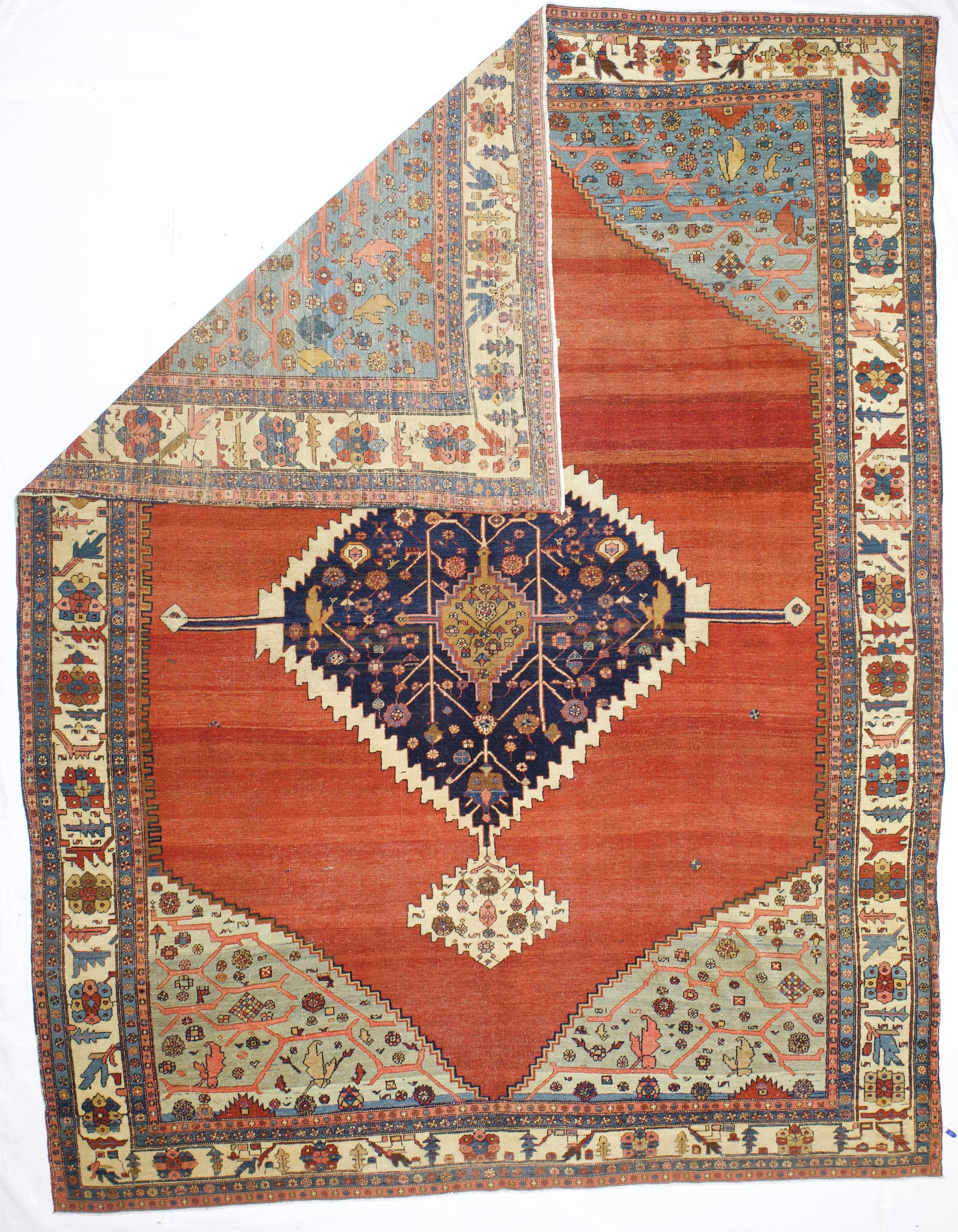 Antique Persian Bakhshayesh Rug 10'0