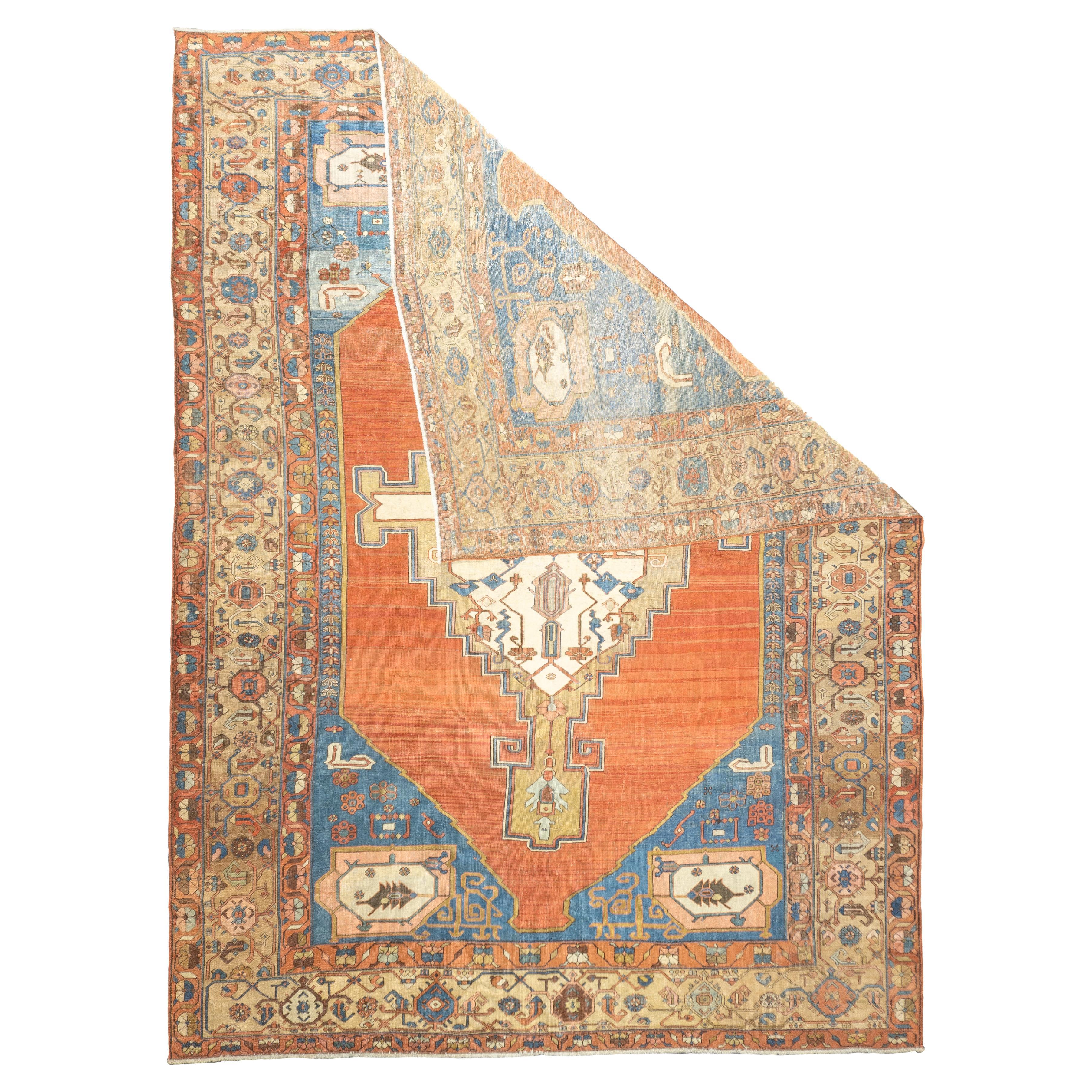 Antiker persischer Bakhshayesh-Teppich 10'10'' x 14'6''. Eine Art von Heriz, im Allgemeinen in quadratischen Formaten, Allover-Muster und groben bis mittleren Bindungen, Wolle oder Mischgewebe; gewebt vor 1900. Der Begriff wird oft auf frühe