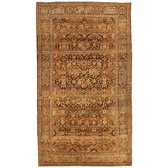 Antique Persian Bakhtiar Rug with Floral Details on Brown Field