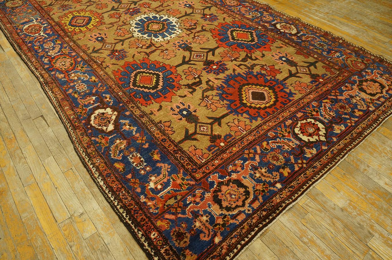 Hand-Knotted Late 19th Century Persian Bakhtiari Gallery Carpet (6'2