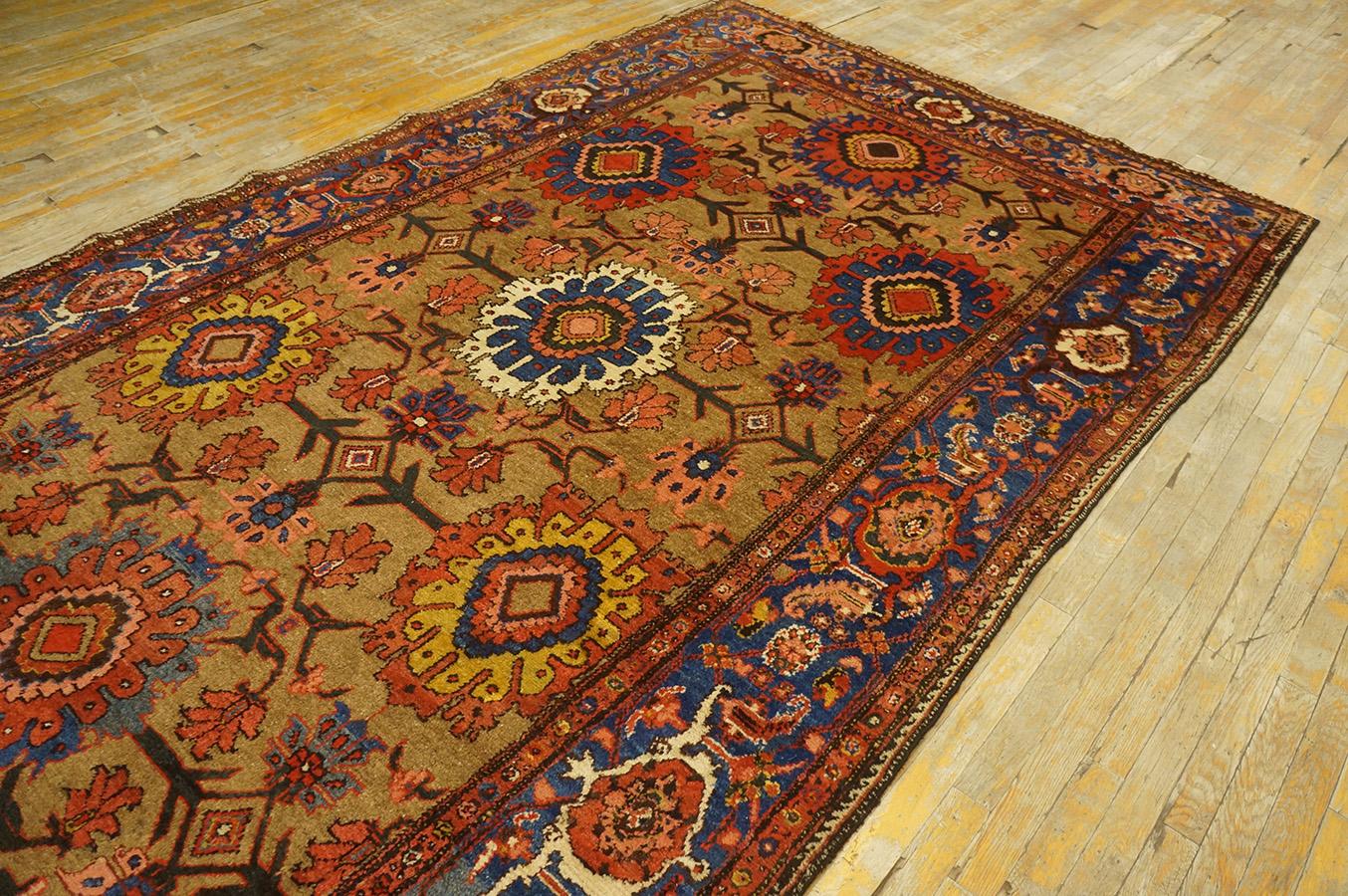 Late 19th Century Persian Bakhtiari Gallery Carpet (6'2