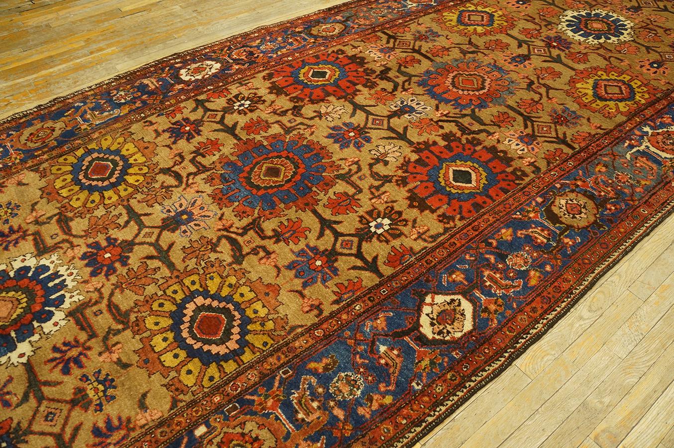 Wool Late 19th Century Persian Bakhtiari Gallery Carpet (6'2