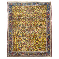 Tappeto antico persiano Bakhtiari 8'7'' x 11'1''