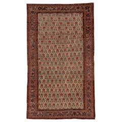 Antique Persian Bakshayesh Carpet, All-Over Field, Ivory Field