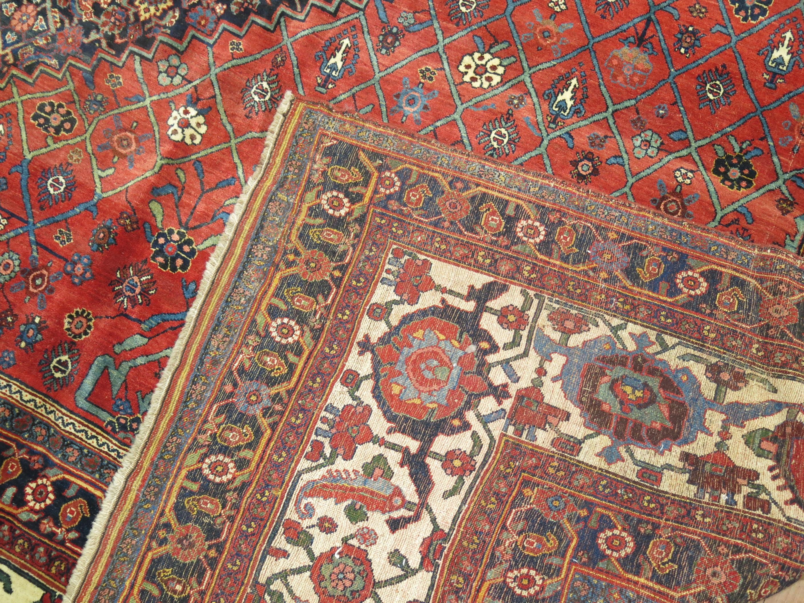An authentic one of a kind Classical Palace size antique Persian Bidjar rug in astonishing excellent full pile condition.

Bidjar carpets are world renowned for their superb artistry, craftsmanship, and excellent material, and can be distinguished
