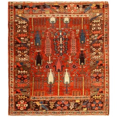 Tribal Rugs and Carpets