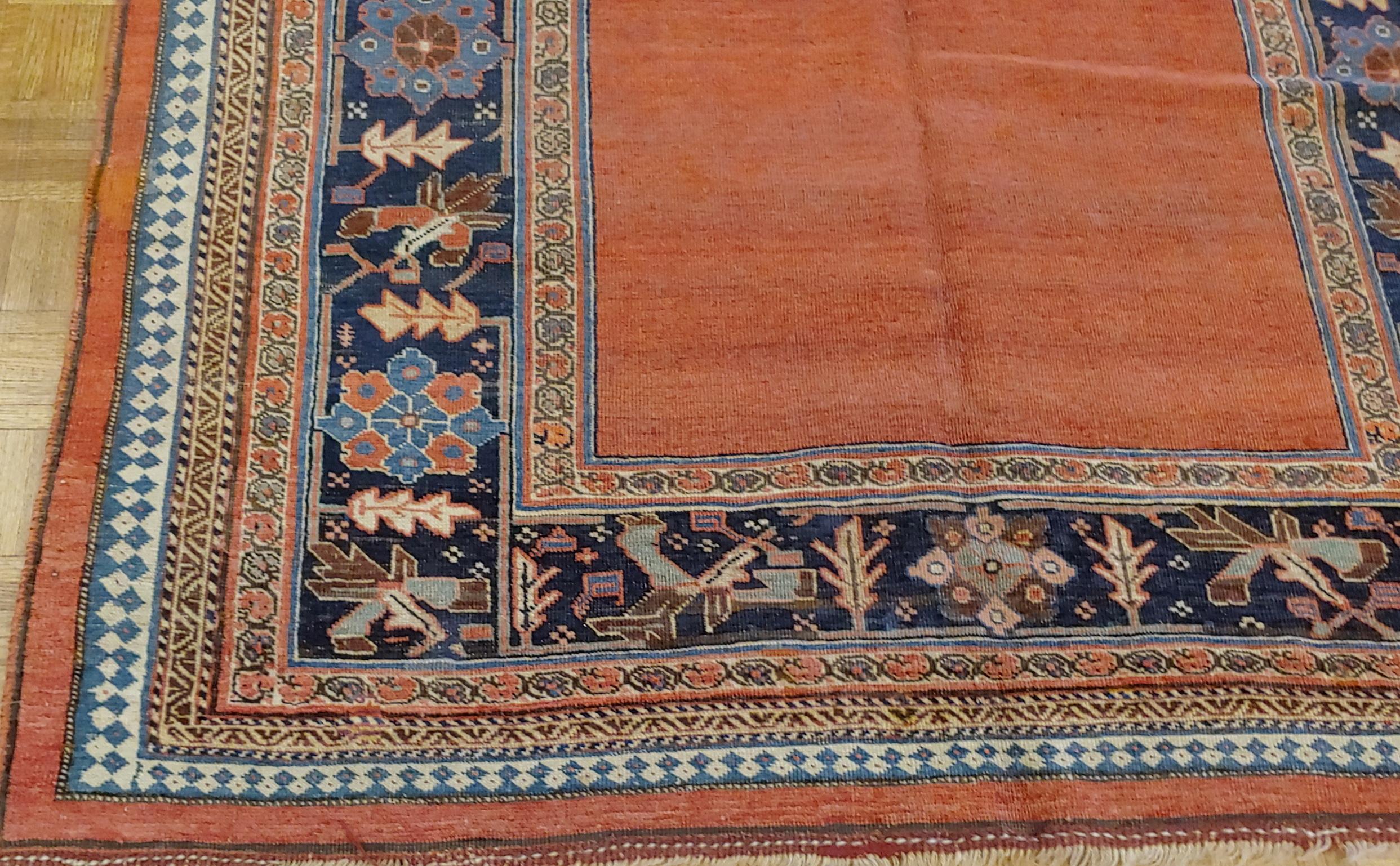 This very unusual antique Persian Bidjar (Bijar) has a solid rust background all-over field design with a navy border. The field is decorated with vines, tendrills and flowers in light blue. It is 5-5 x 8, circa 1895.