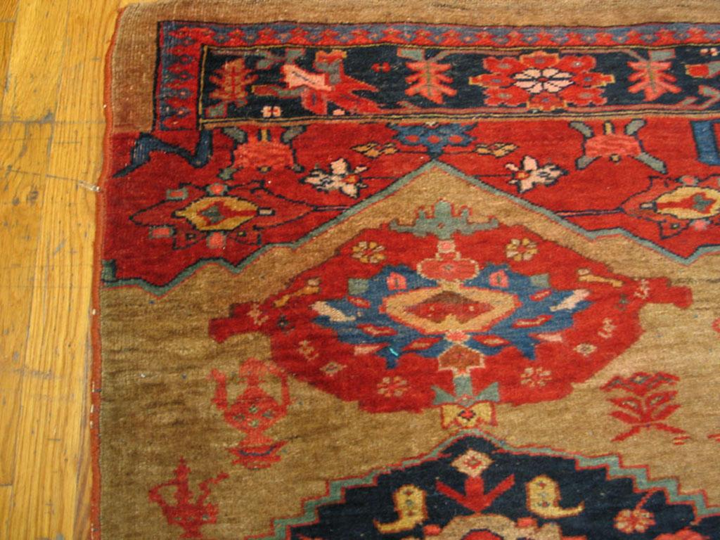 Fin du 19ème siècle, tapis persan Bijar Sampler ( 4'6