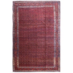 Antique Persian Bijar Rug 13' 4" x 19' 11"