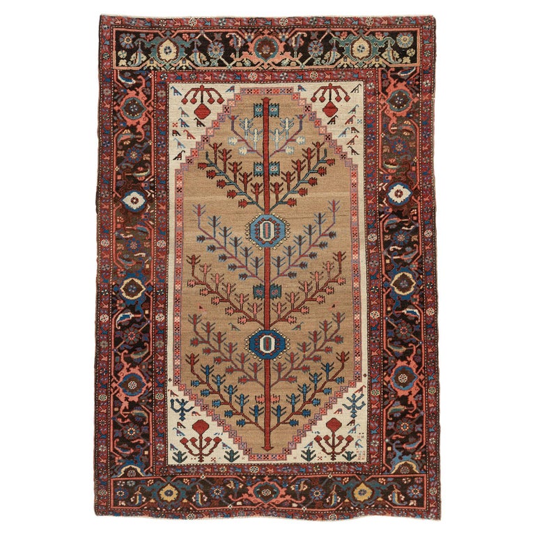 Antique Persian Camel Hair Bakshaish Area Rug 4'6x6'6 For Sale at 1stDibs