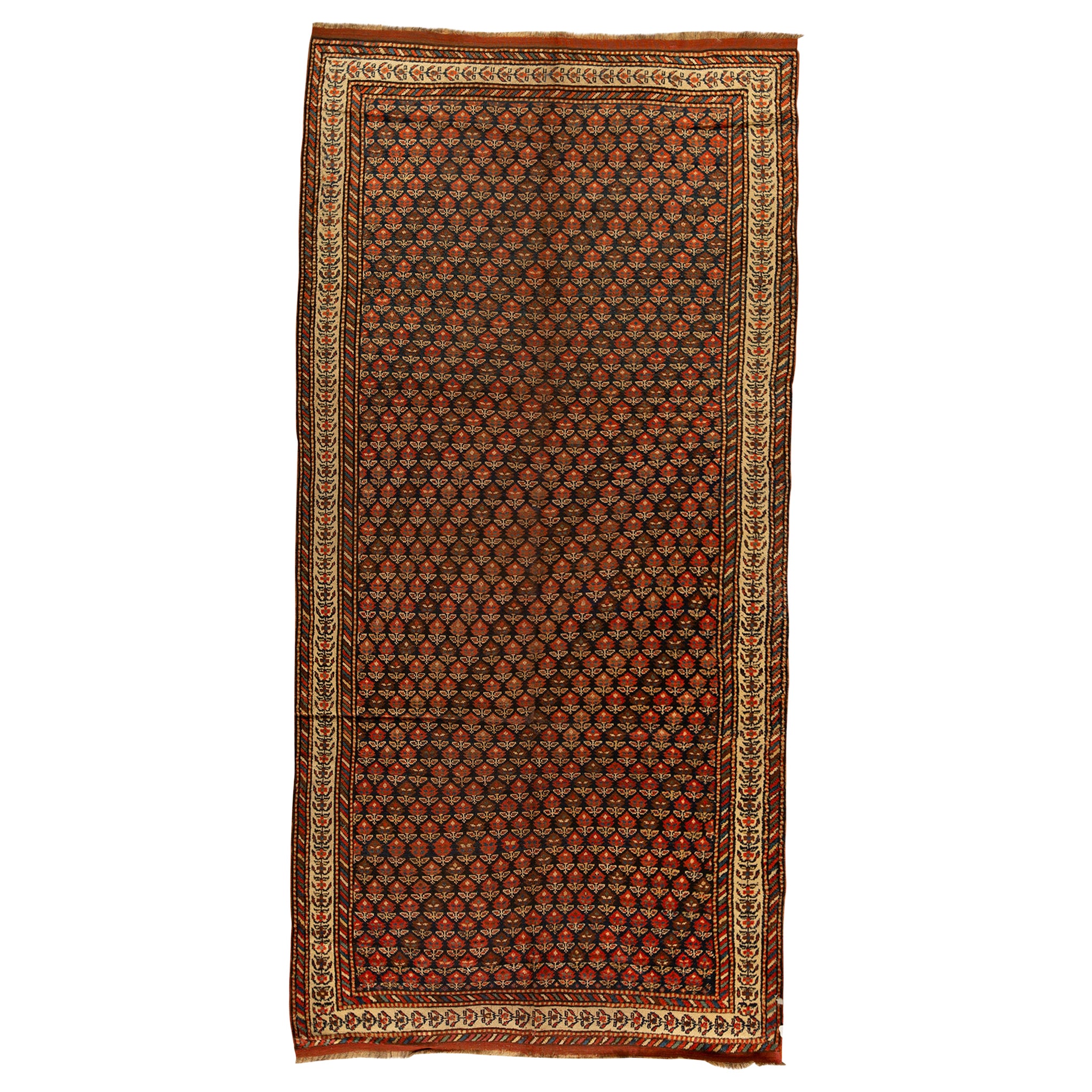 Antique Perse Fine