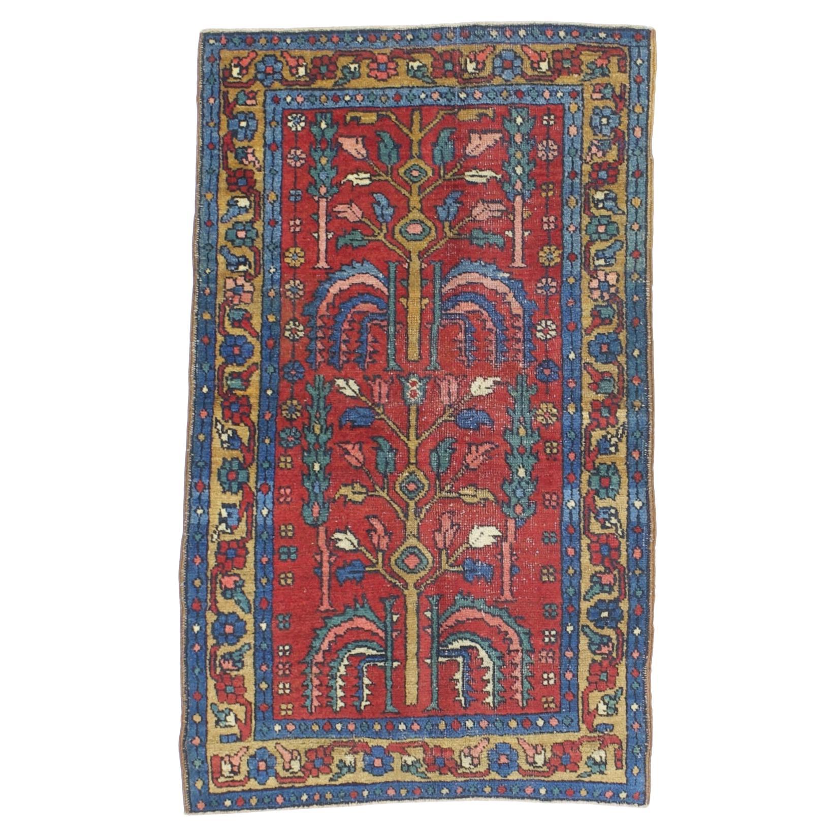 Tapis persan antique Heriz 2'9" x 4'6
