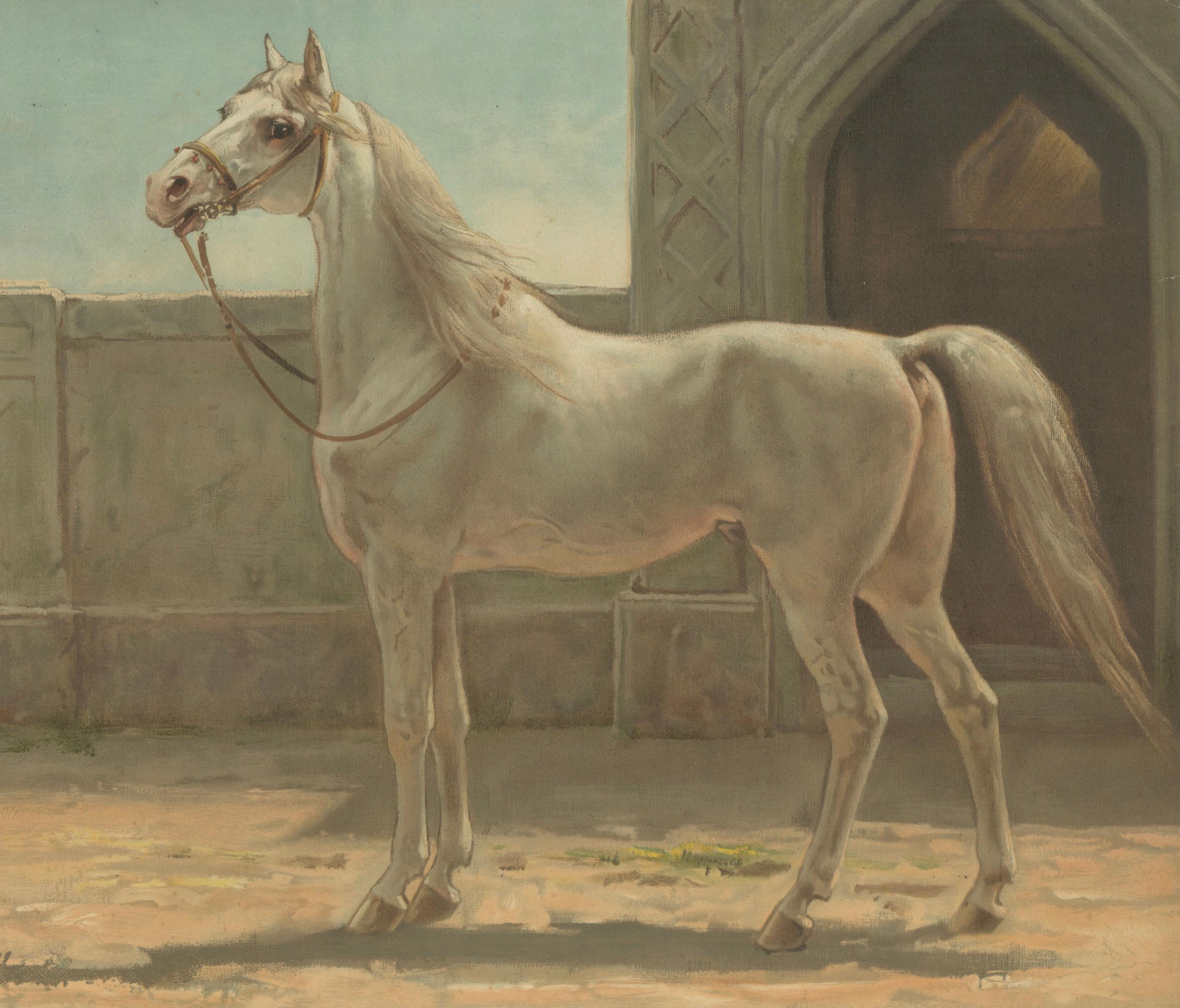 Antique Persian Horse Portrait 1898, Oriental Equestrian Lithograph
