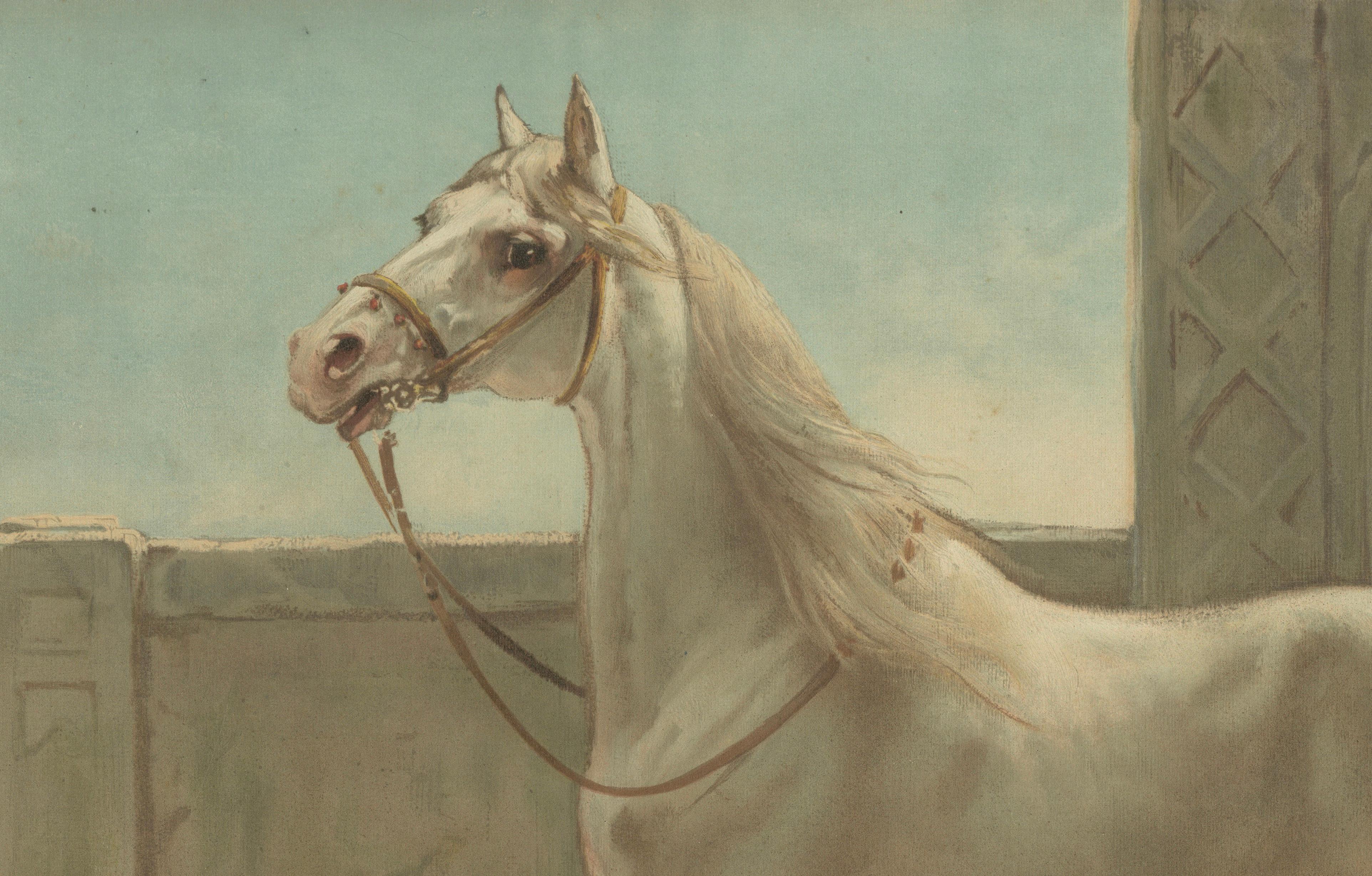 Antique Persian Horse Portrait 1898, Oriental Equestrian Lithograph