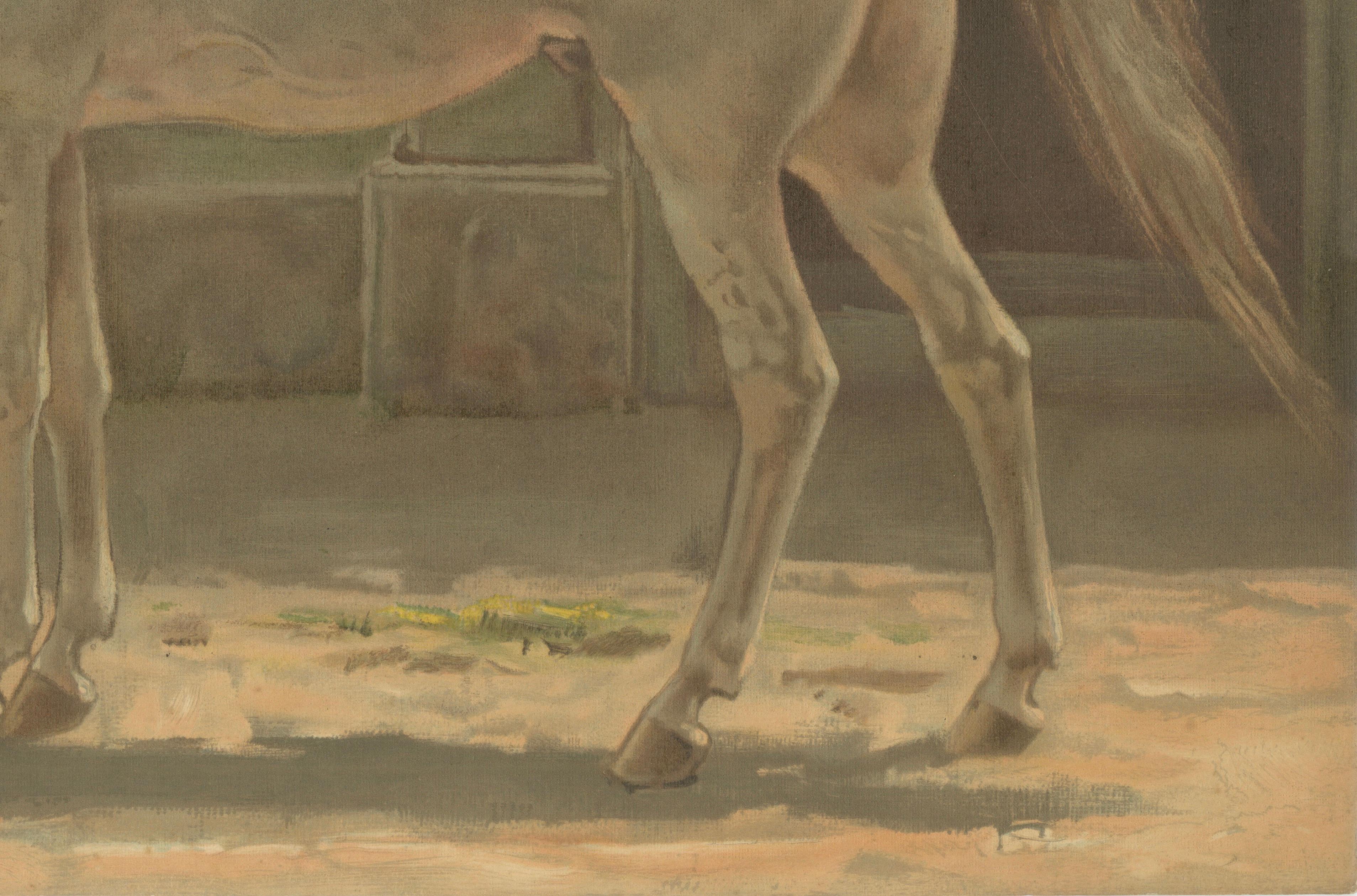 Antique Persian Horse Portrait 1898, Oriental Equestrian Lithograph